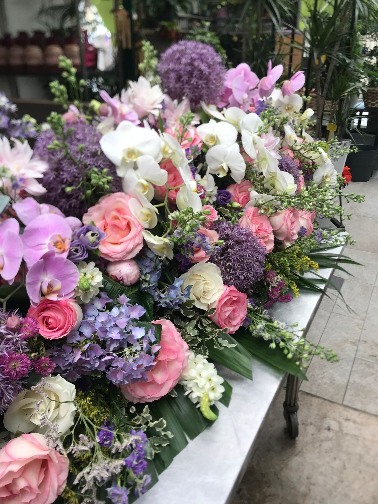 WhatsApp Image 2026-03-03 at 13.10.07 (3).jpeg