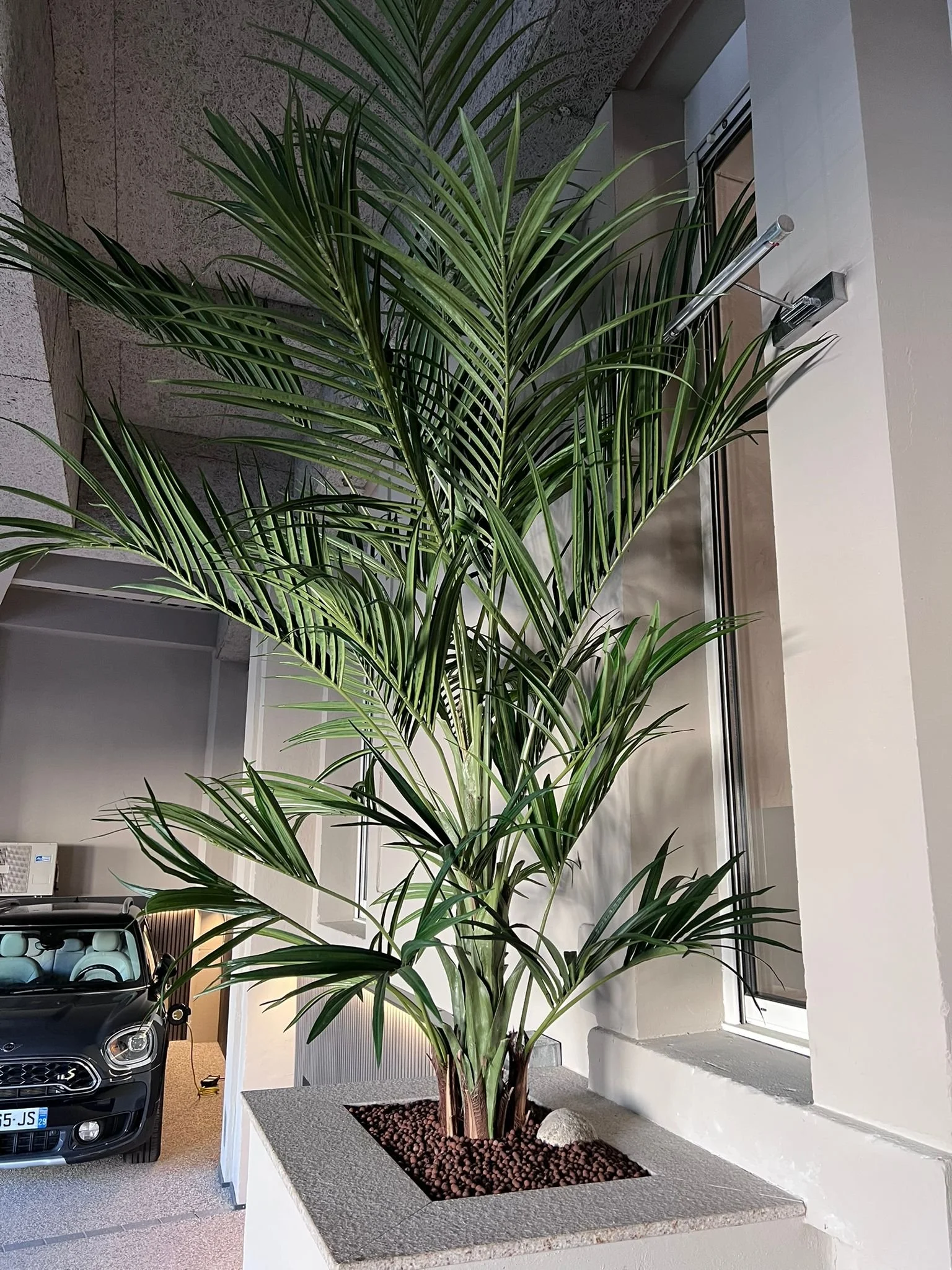 WhatsApp Image 2026-03-03 at 13.08.56 (4).jpeg