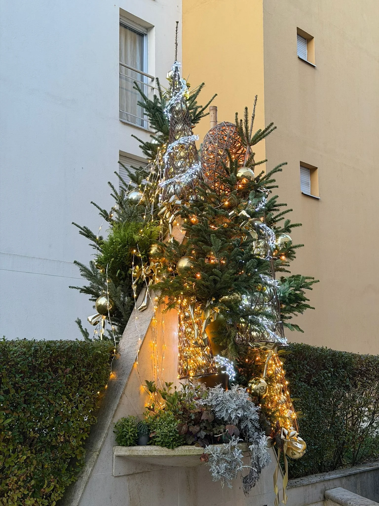 WhatsApp Image 2026-03-03 at 13.06.40 (2).jpeg