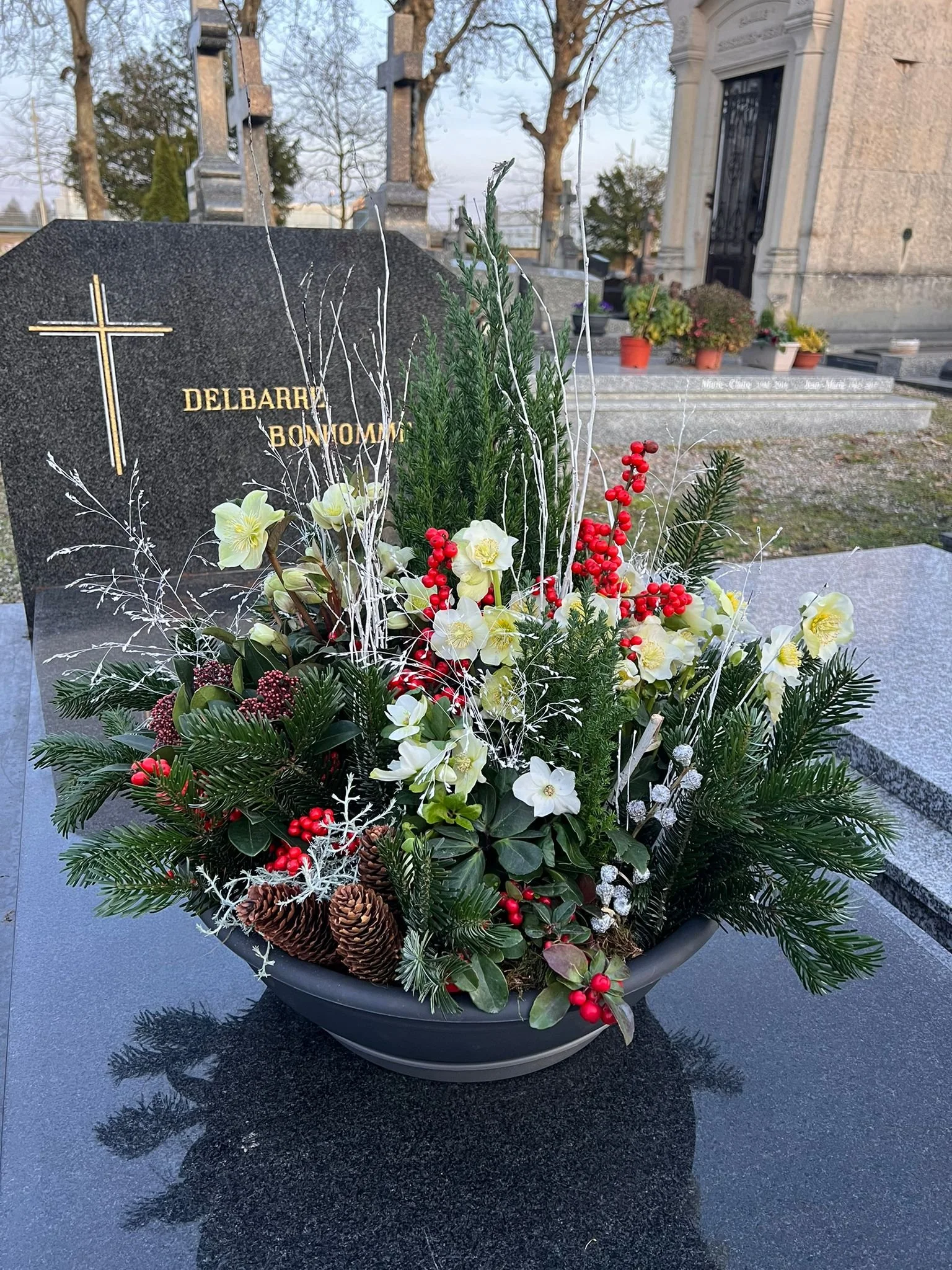 WhatsApp Image 2026-03-03 at 13.06.36 (1).jpeg