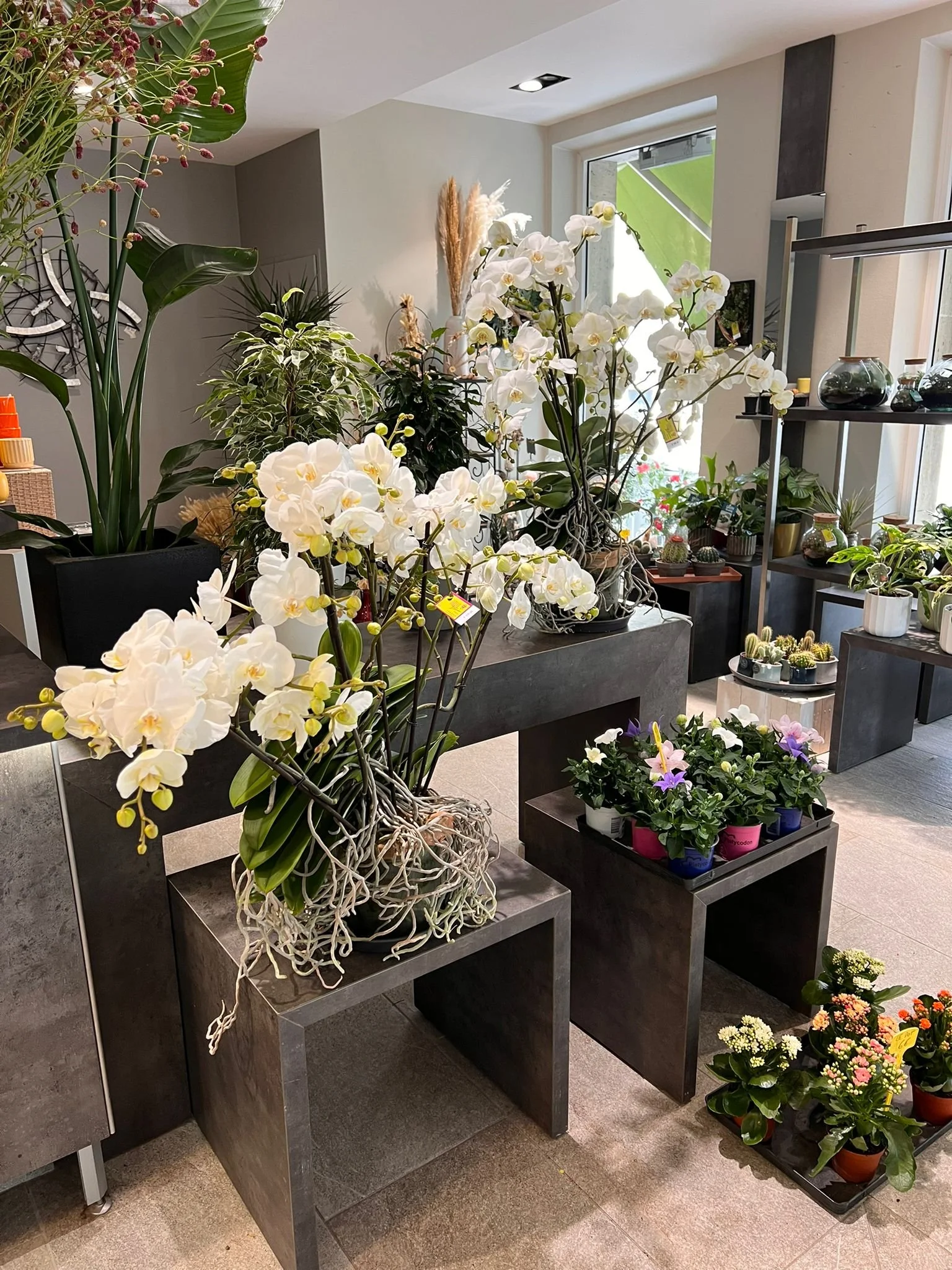 WhatsApp Image 2026-03-03 at 13.07.56 (2).jpeg