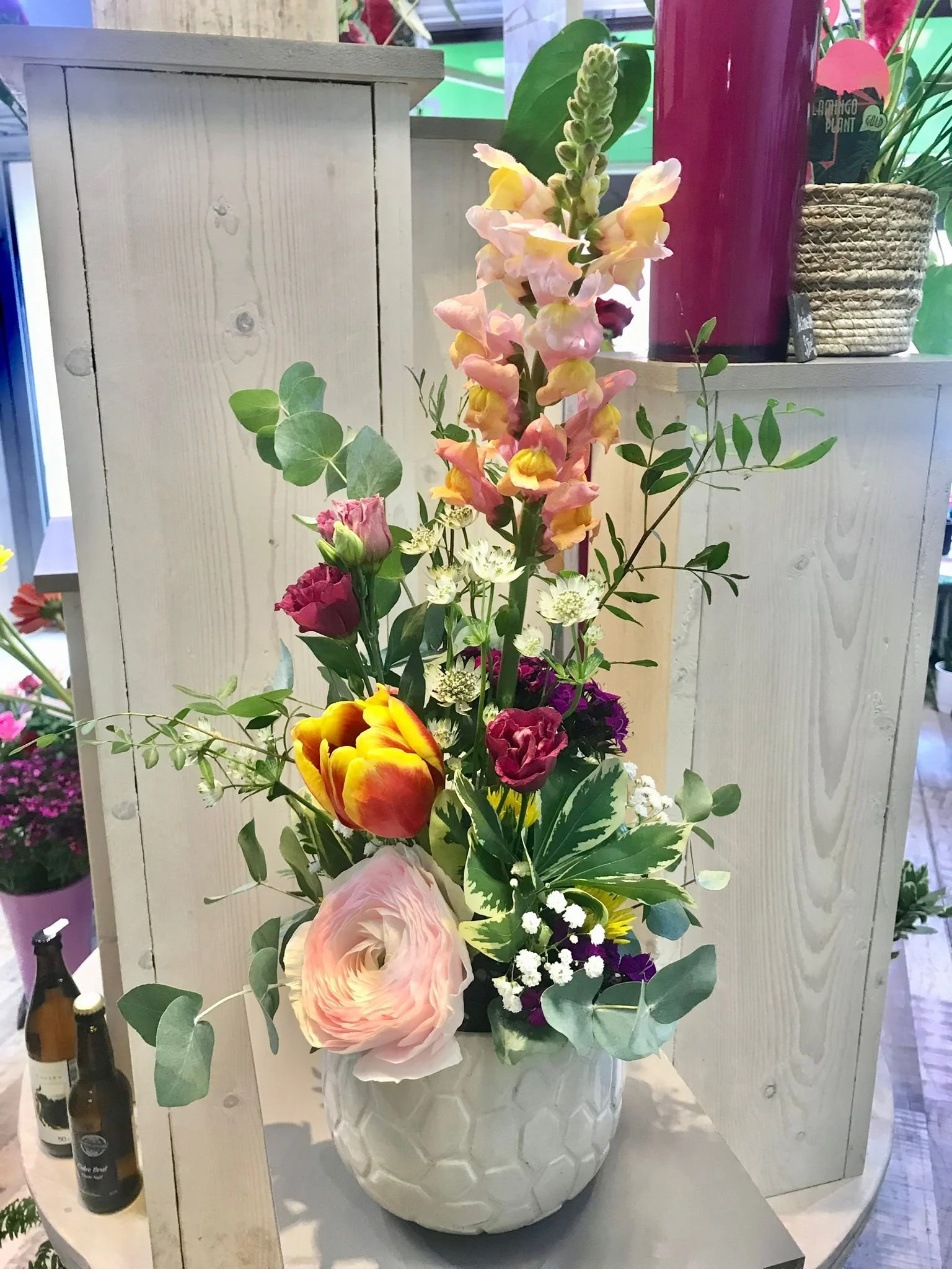 WhatsApp Image 2026-03-03 at 13.10.10 (1).jpeg