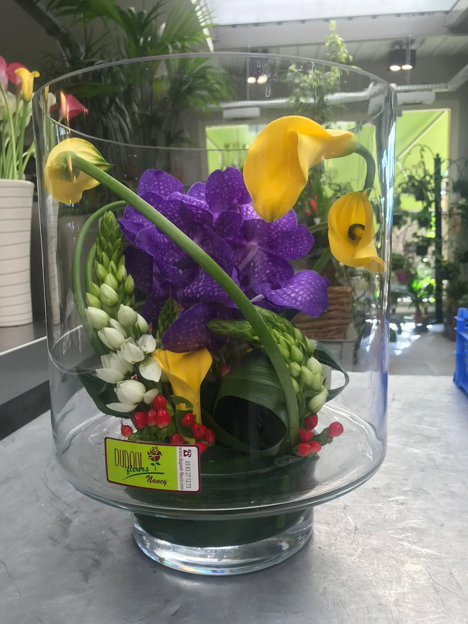 WhatsApp Image 2026-03-03 at 13.10.51 (2).jpeg