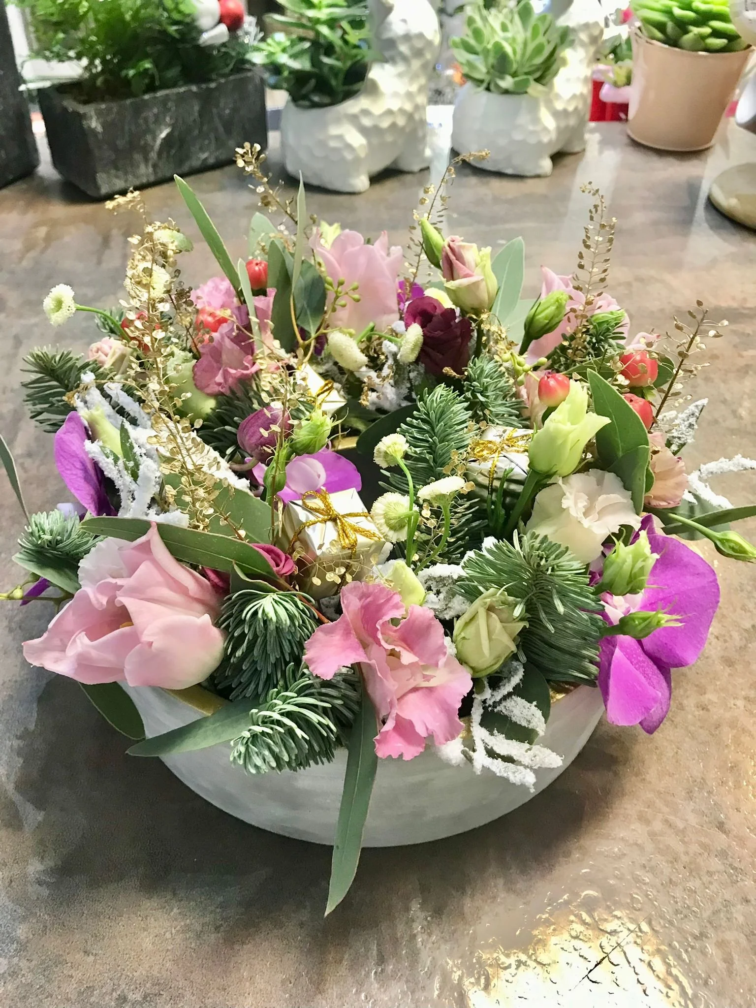 WhatsApp Image 2026-03-03 at 13.10.10 (6).jpeg