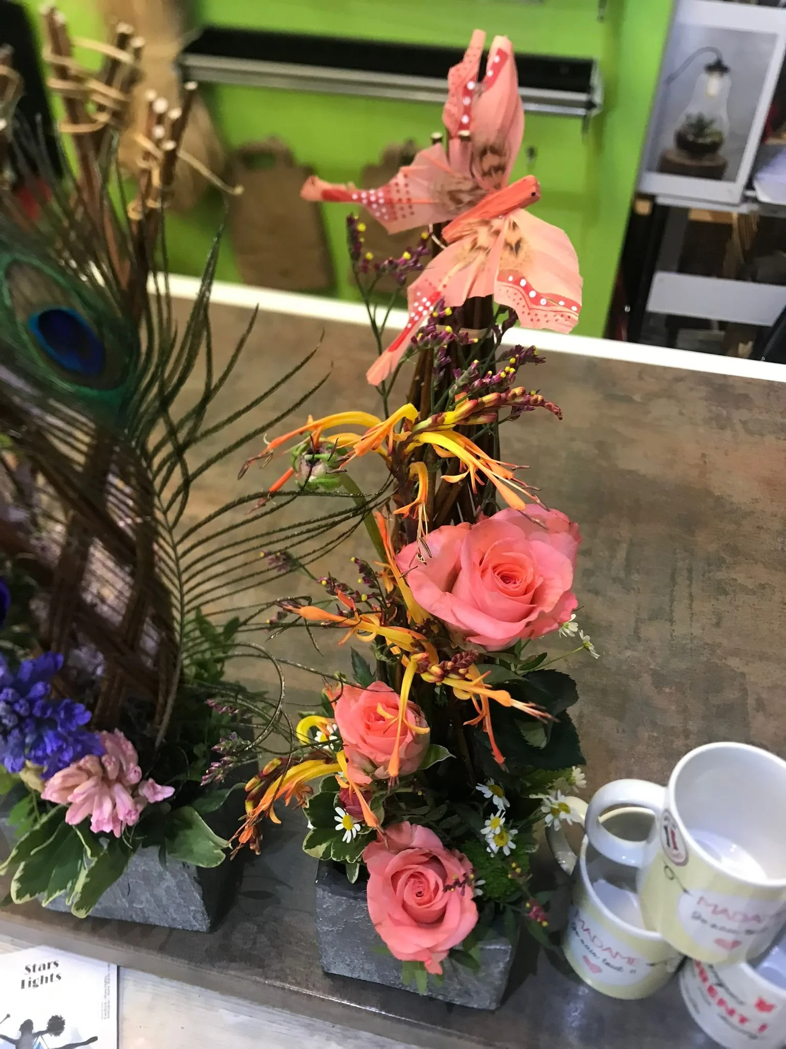 WhatsApp Image 2026-03-03 at 13.10.08 (1).jpeg