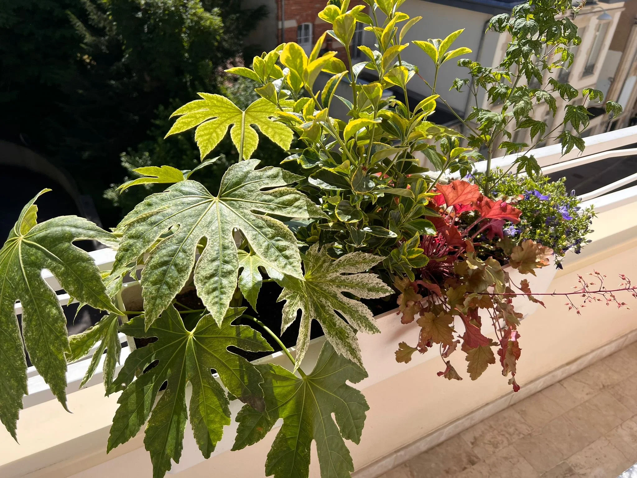 WhatsApp Image 2026-03-03 at 13.07.56 (1).jpeg