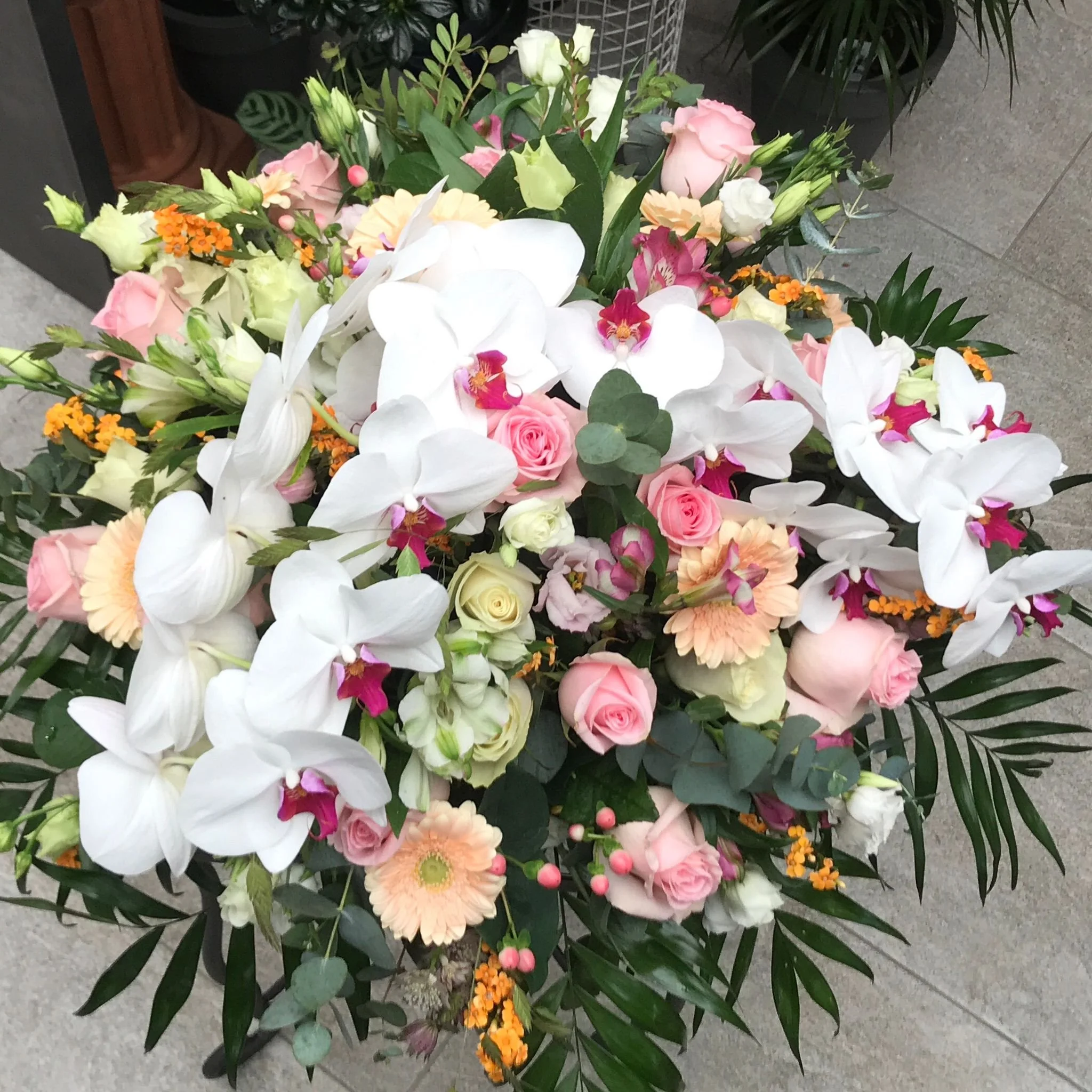 WhatsApp Image 2026-03-03 at 13.10.50 (7).jpeg