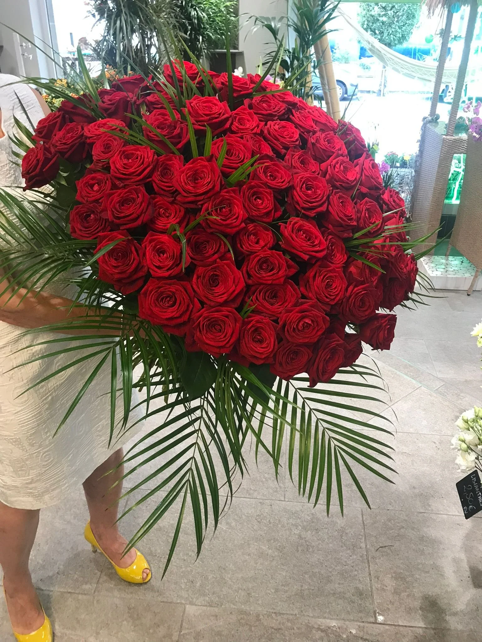 WhatsApp Image 2026-03-03 at 13.10.51 (1).jpeg