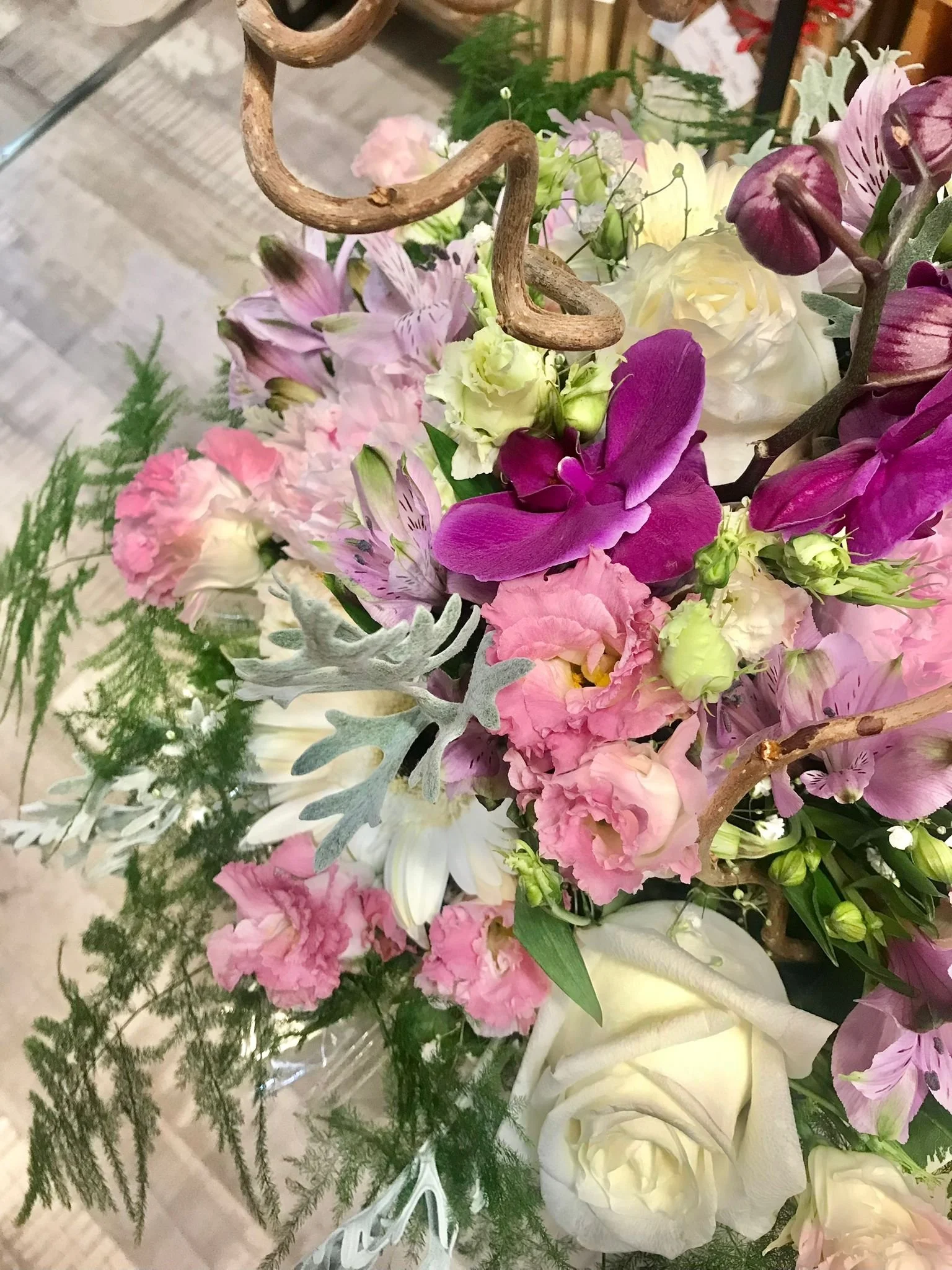 WhatsApp Image 2026-03-03 at 13.10.09 (1).jpeg