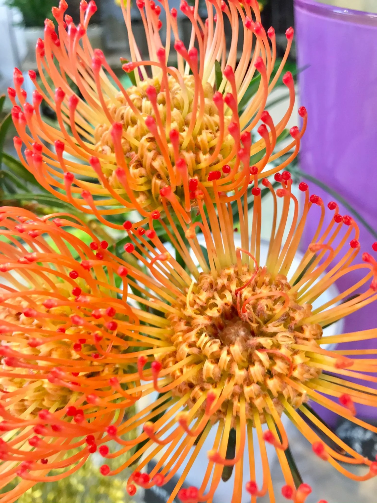 WhatsApp Image 2026-03-03 at 13.10.46 (3).jpeg