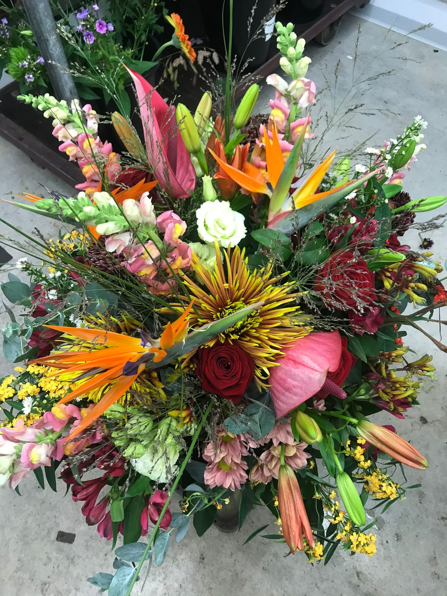 WhatsApp Image 2026-03-03 at 13.10.50 (6).jpeg