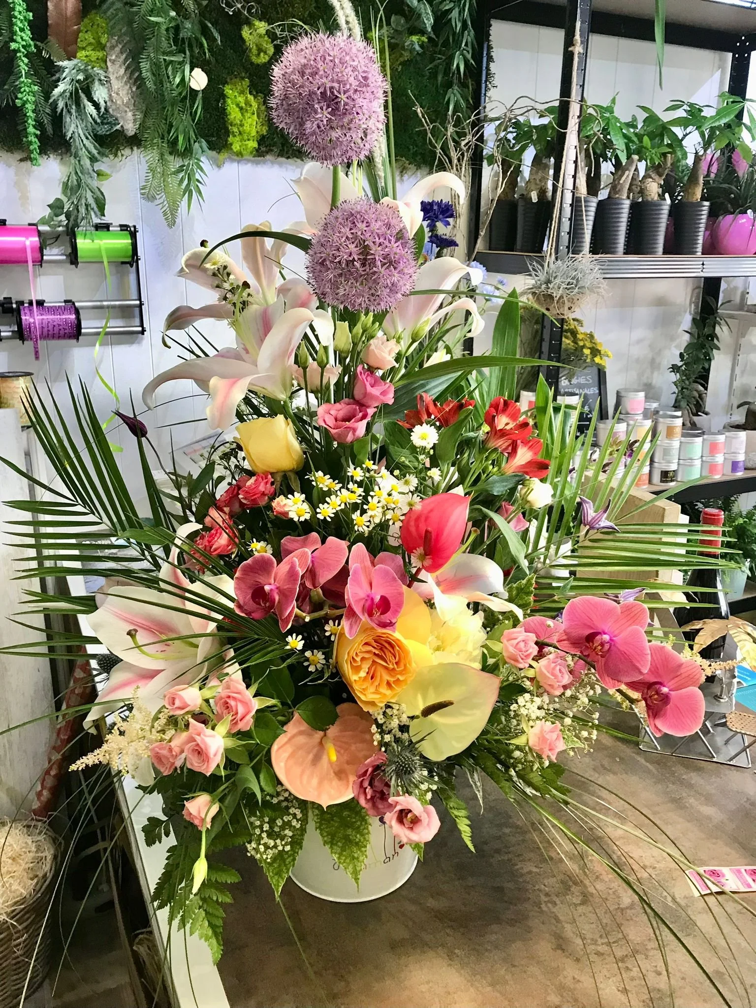 WhatsApp Image 2026-03-03 at 13.10.09 (2).jpeg