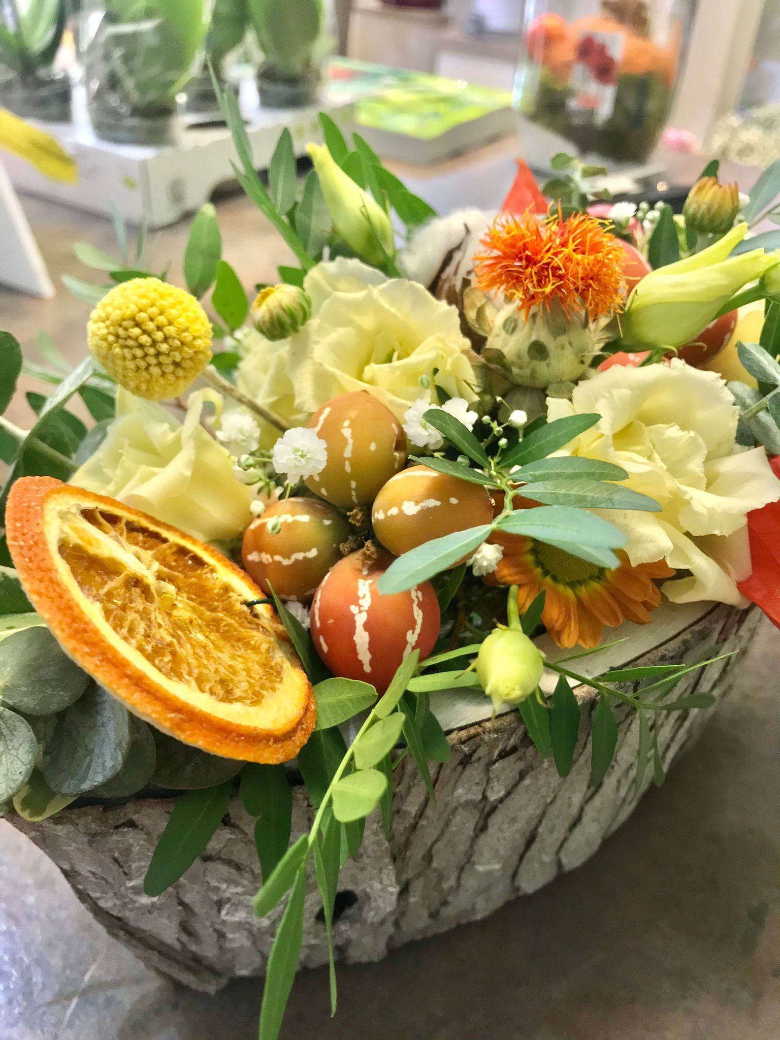 WhatsApp Image 2026-03-03 at 13.10.48.jpeg