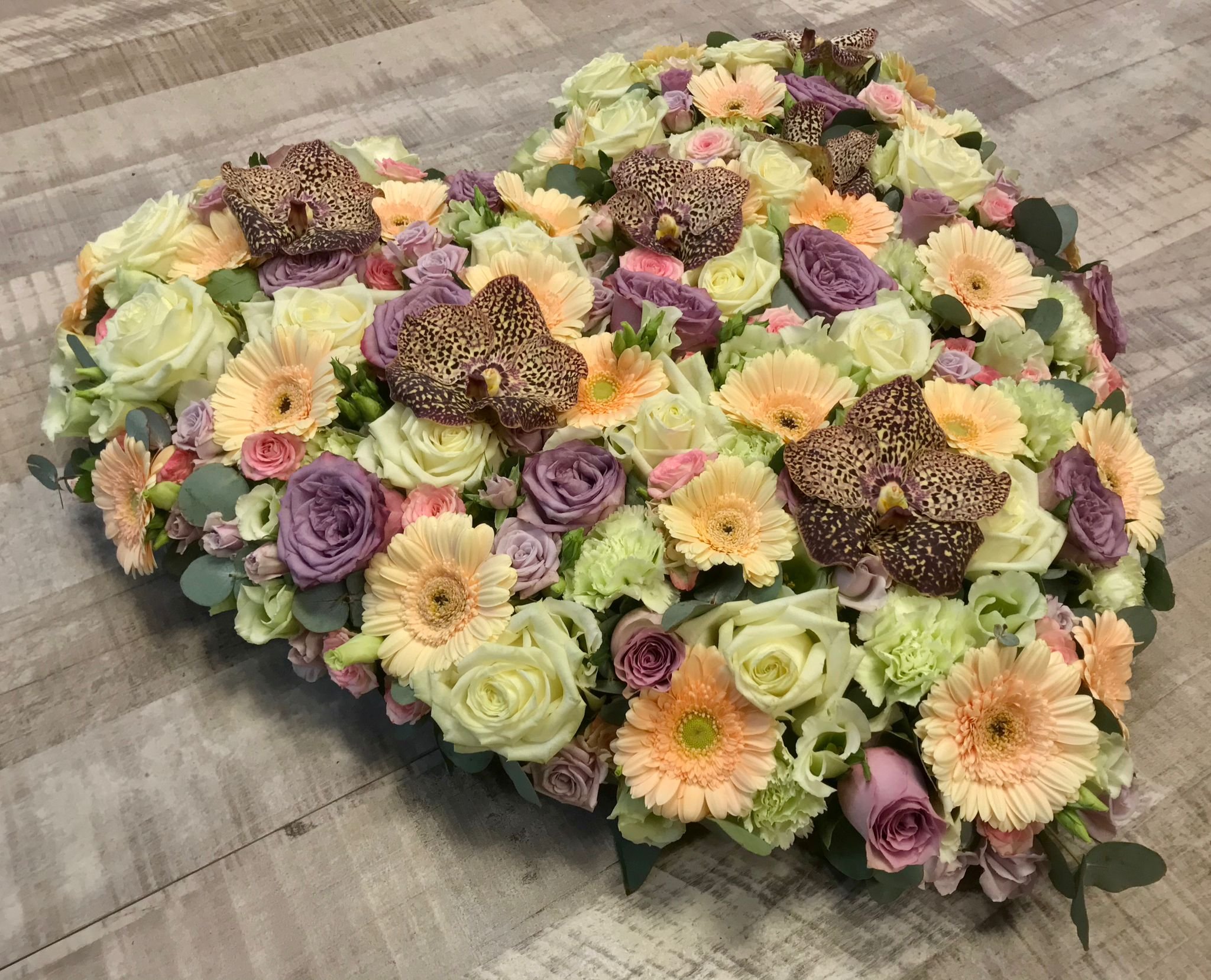 WhatsApp Image 2026-03-03 at 13.10.49 (2).jpeg