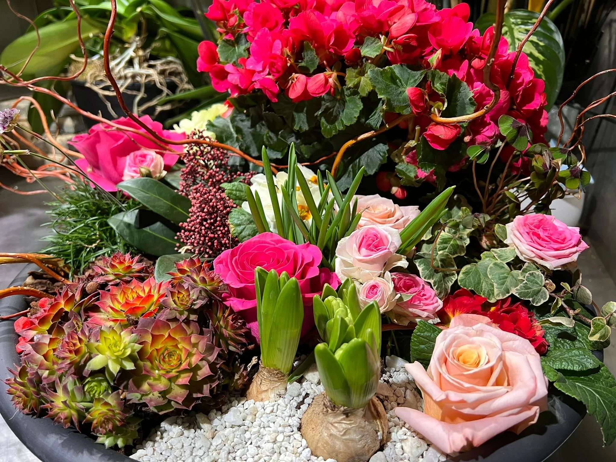 WhatsApp Image 2026-03-03 at 13.06.34 (1).jpeg