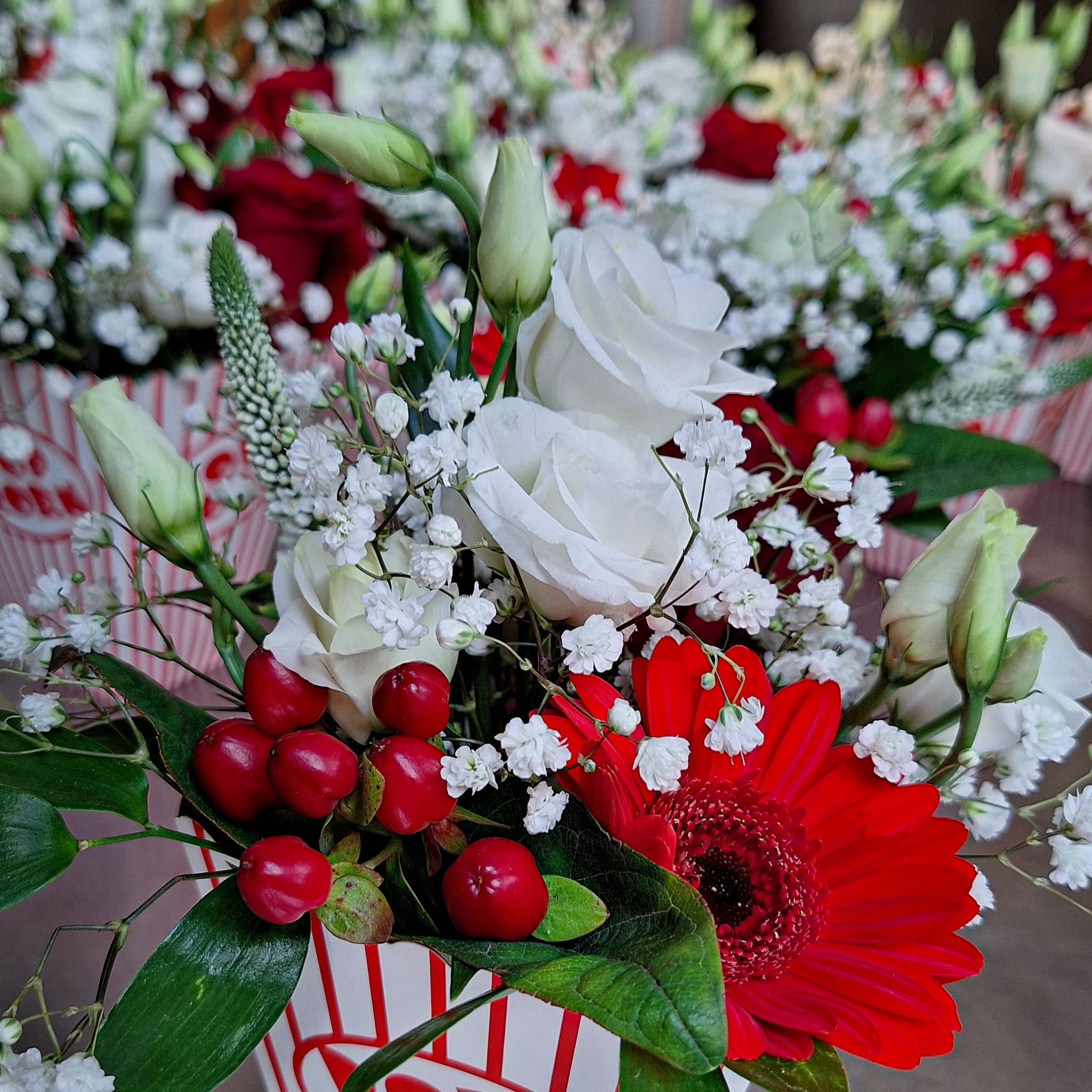 WhatsApp Image 2026-03-03 at 13.05.44.jpeg