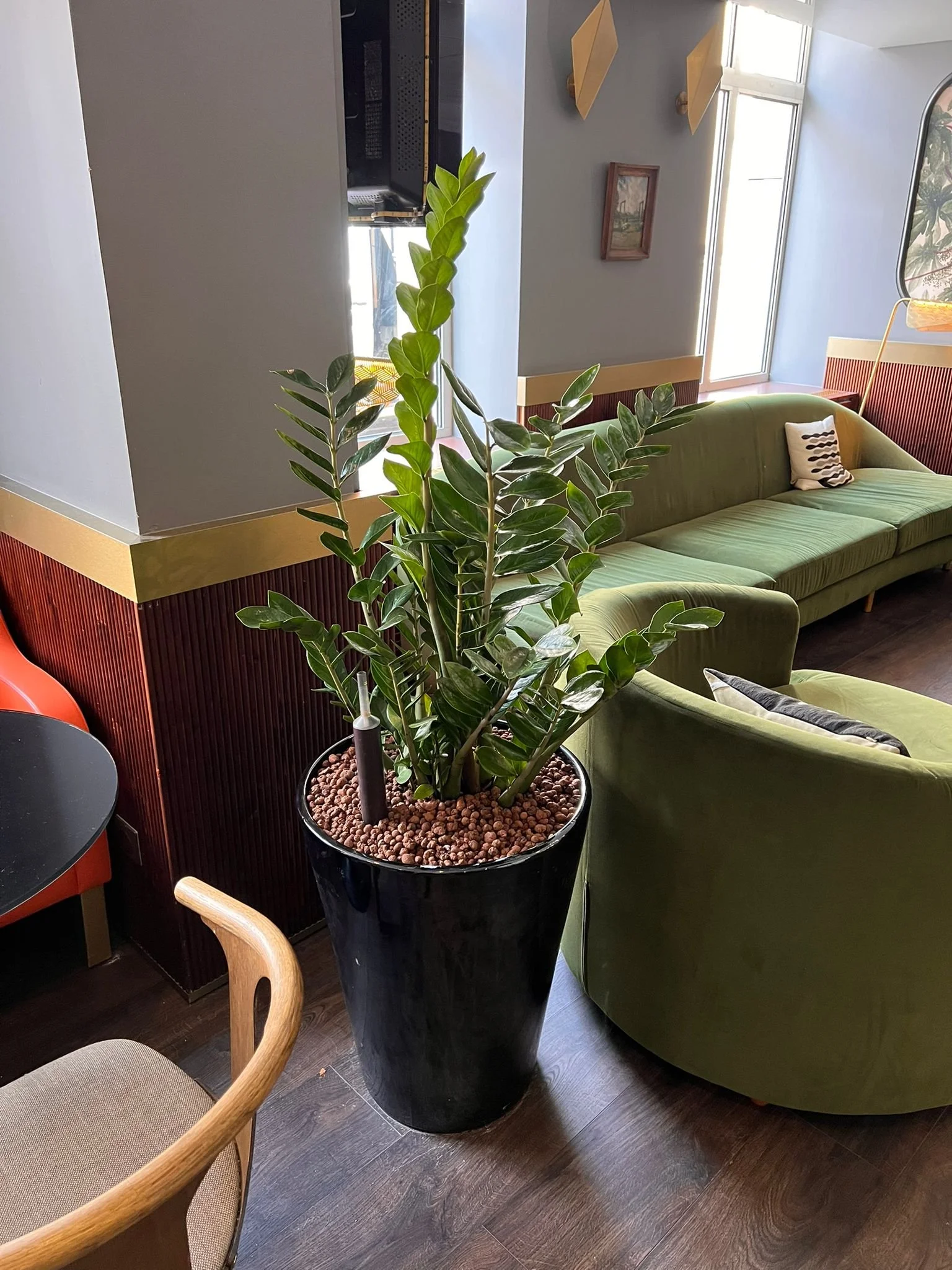 WhatsApp Image 2026-03-03 at 13.07.53.jpeg