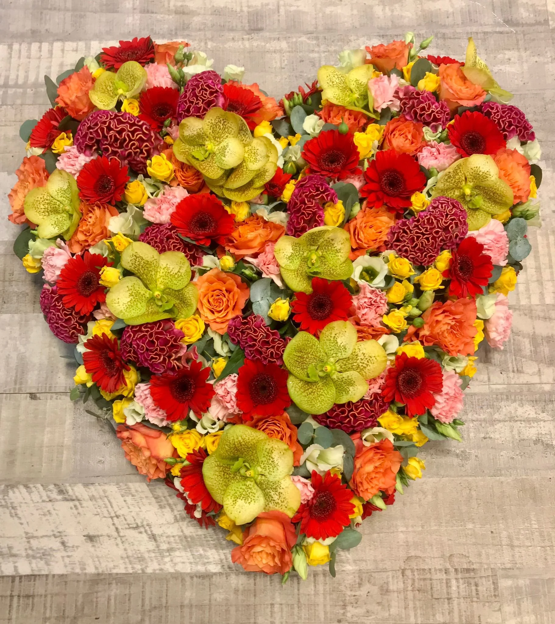 WhatsApp Image 2026-03-03 at 13.10.49 (1).jpeg