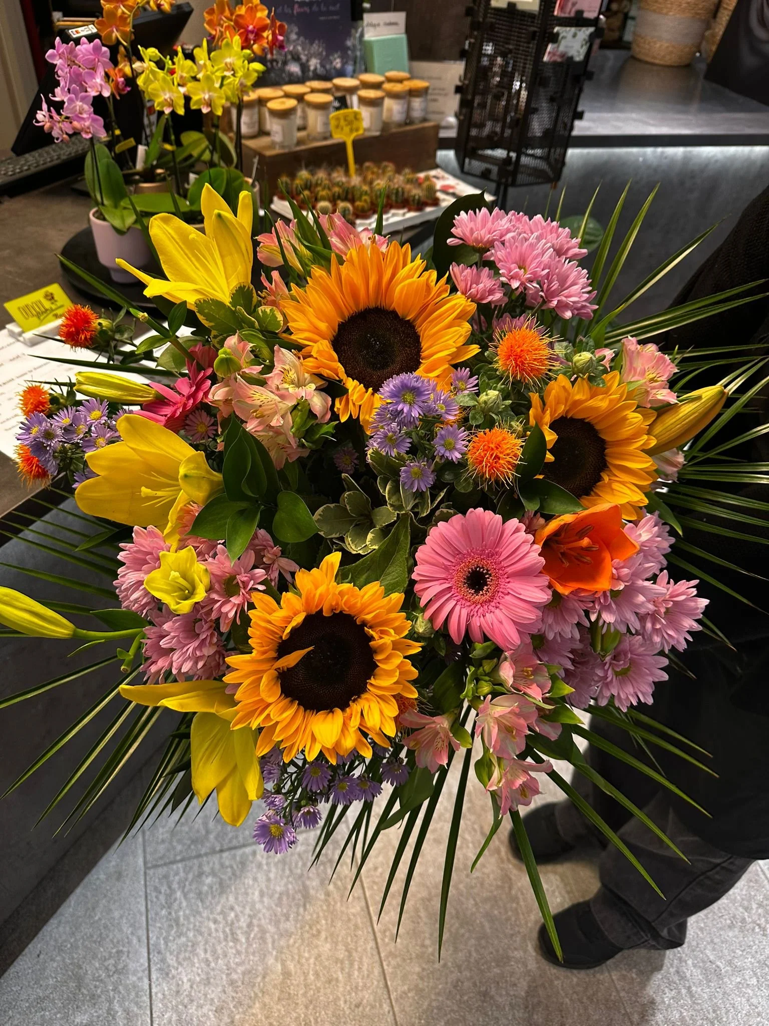 WhatsApp Image 2026-03-03 at 13.05.45 (2).jpeg