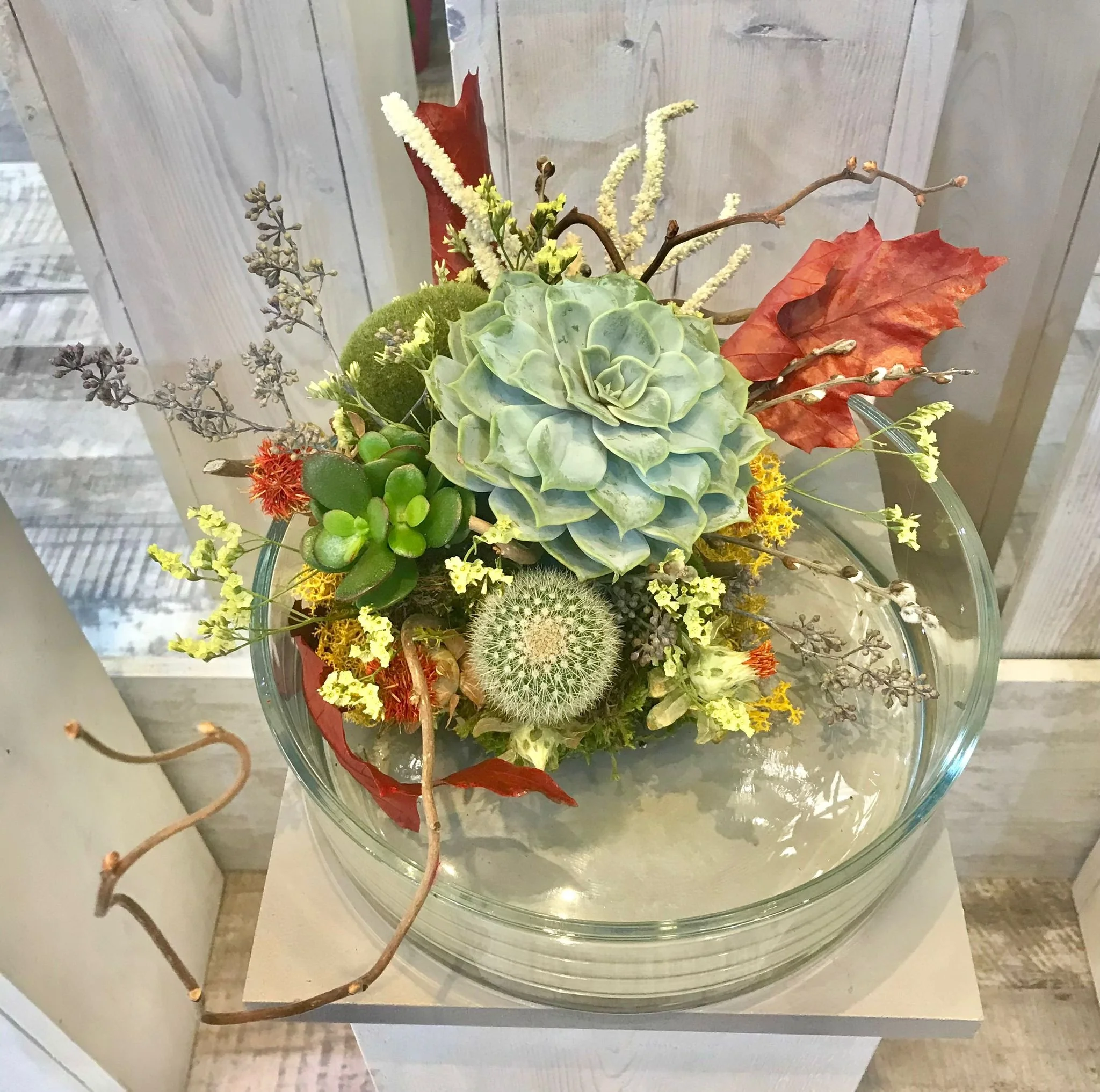 WhatsApp Image 2026-03-03 at 13.10.47 (1).jpeg