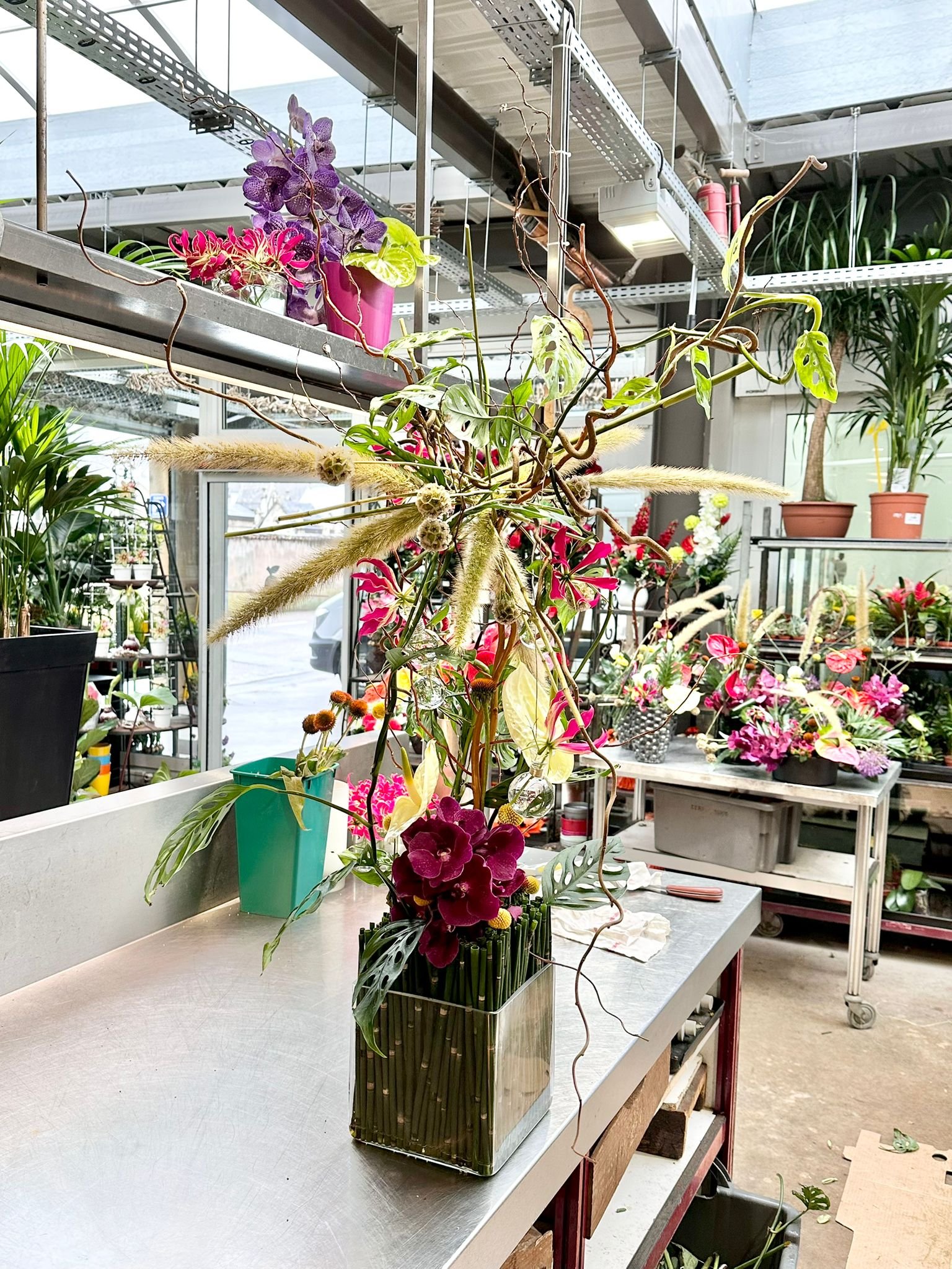 WhatsApp Image 2026-03-03 at 13.10.07 (5).jpeg