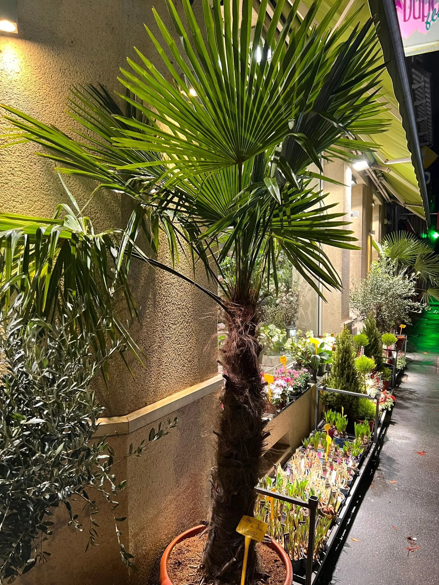 WhatsApp Image 2026-03-03 at 13.06.35 (2).jpeg