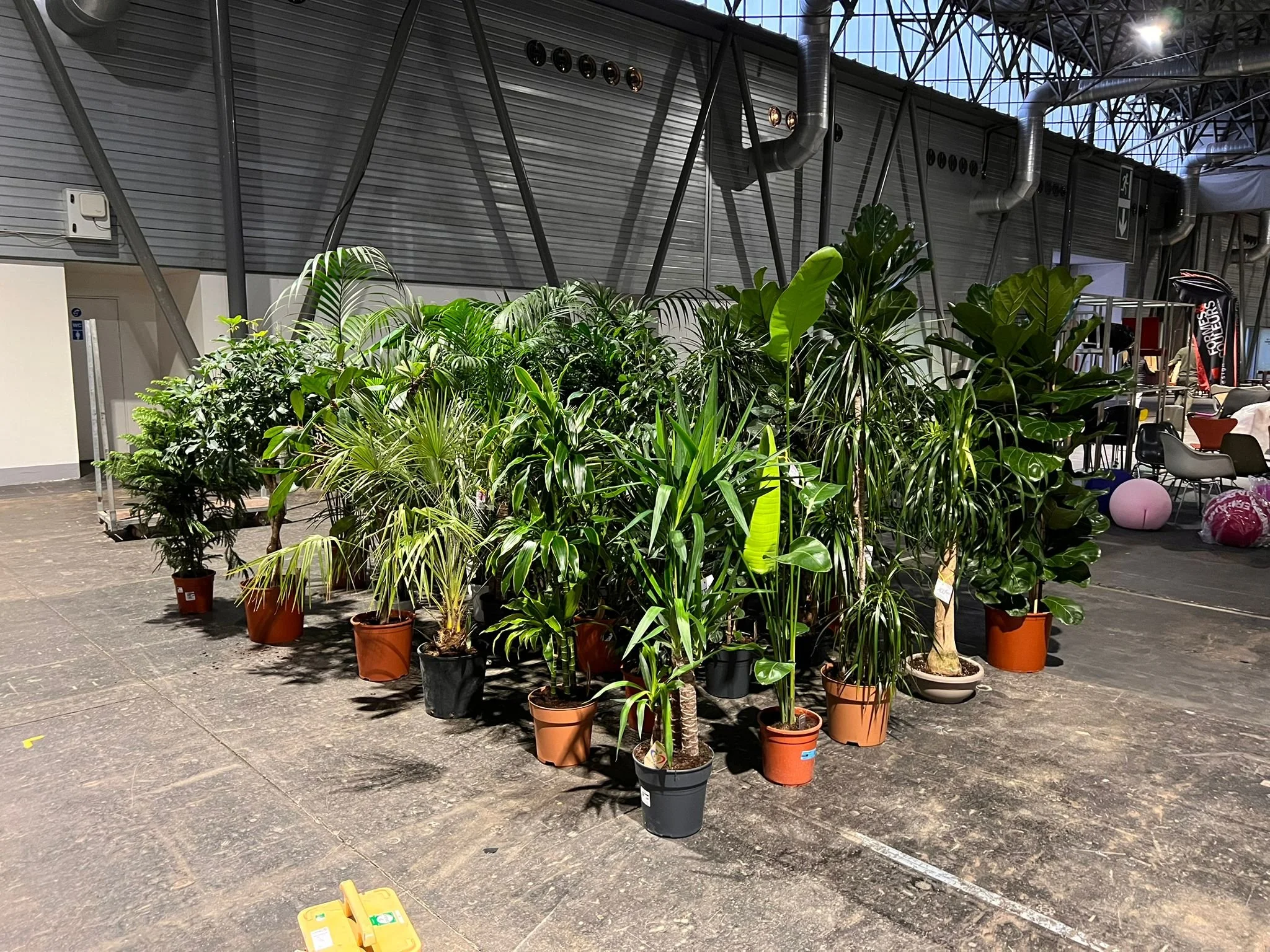 WhatsApp Image 2026-03-03 at 13.07.45.jpeg