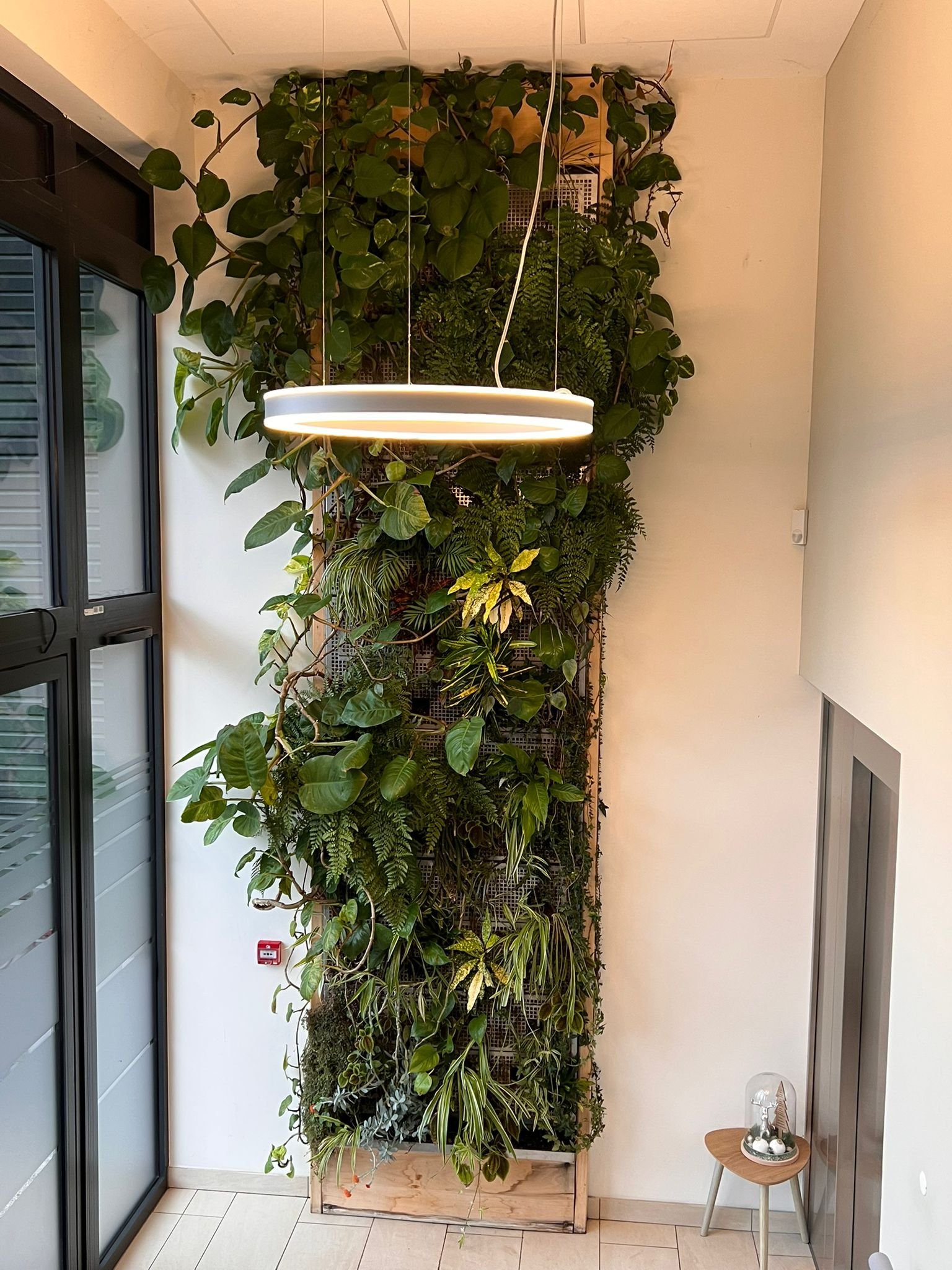 WhatsApp Image 2026-03-03 at 13.06.36.jpeg