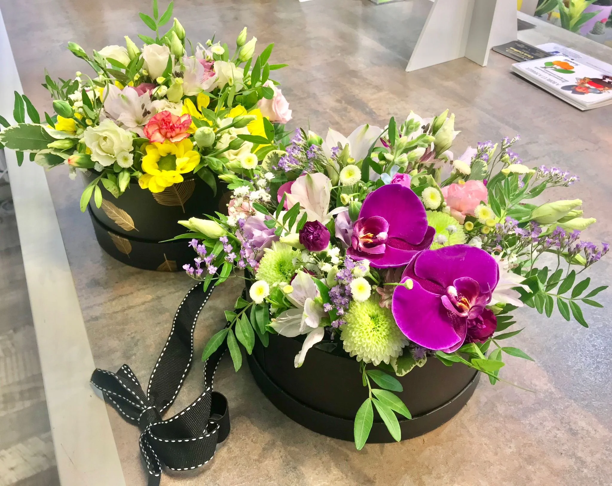 WhatsApp Image 2026-03-03 at 13.10.47 (4).jpeg