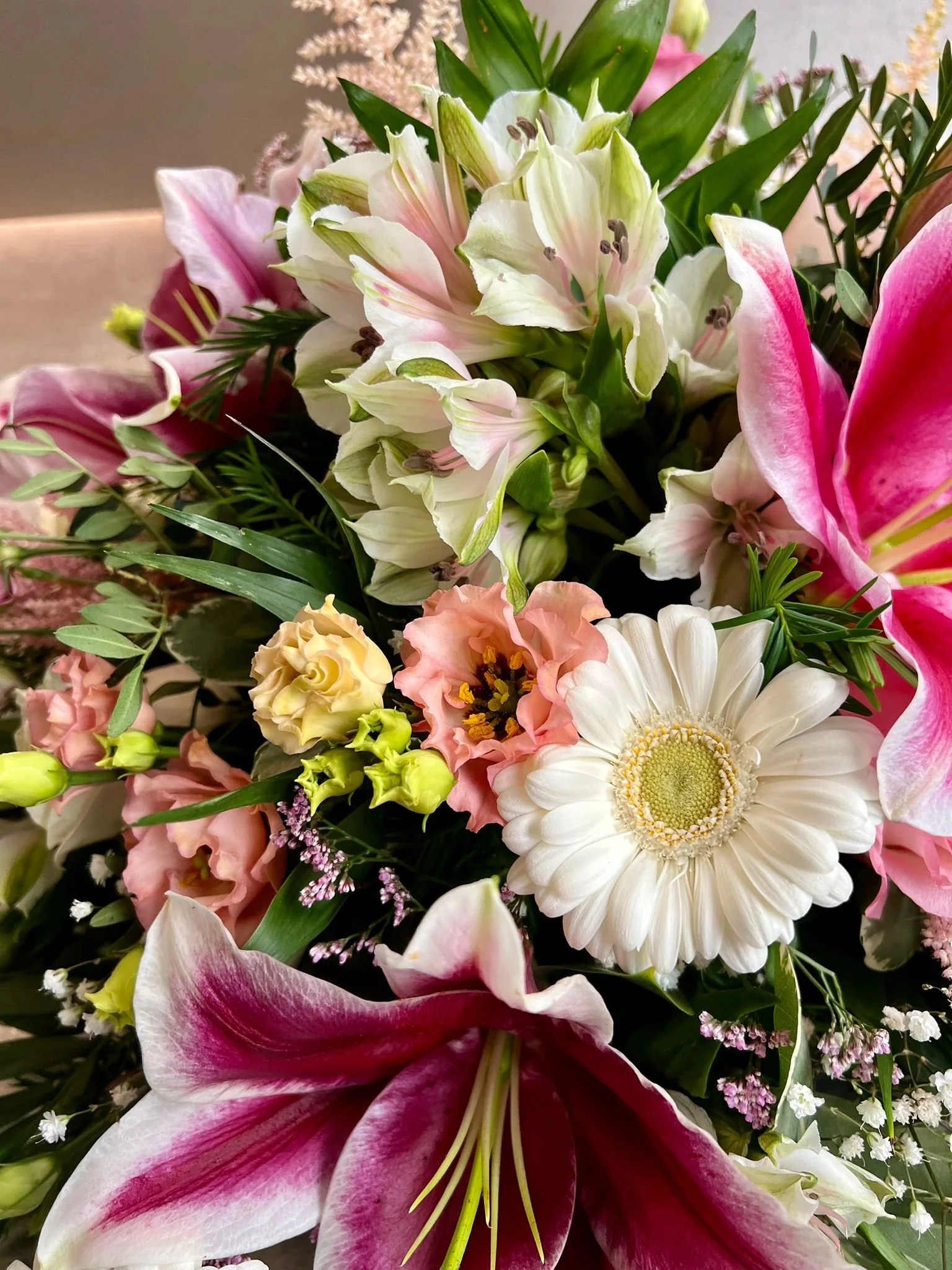 WhatsApp Image 2026-03-03 at 13.09.59.jpeg