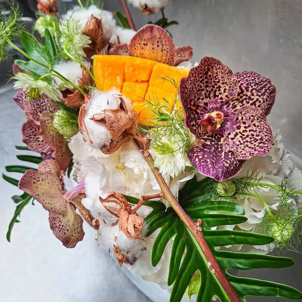 WhatsApp Image 2026-03-03 at 13.05.46 (1).jpeg