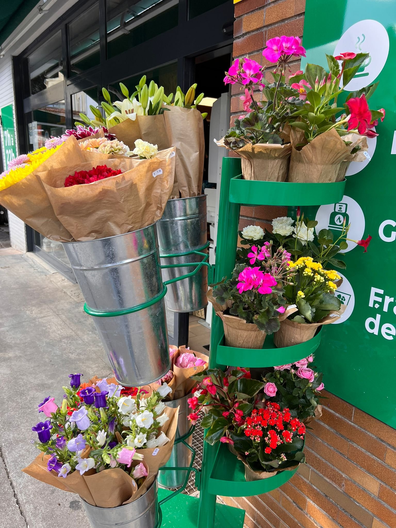 WhatsApp Image 2026-03-03 at 13.08.54.jpeg