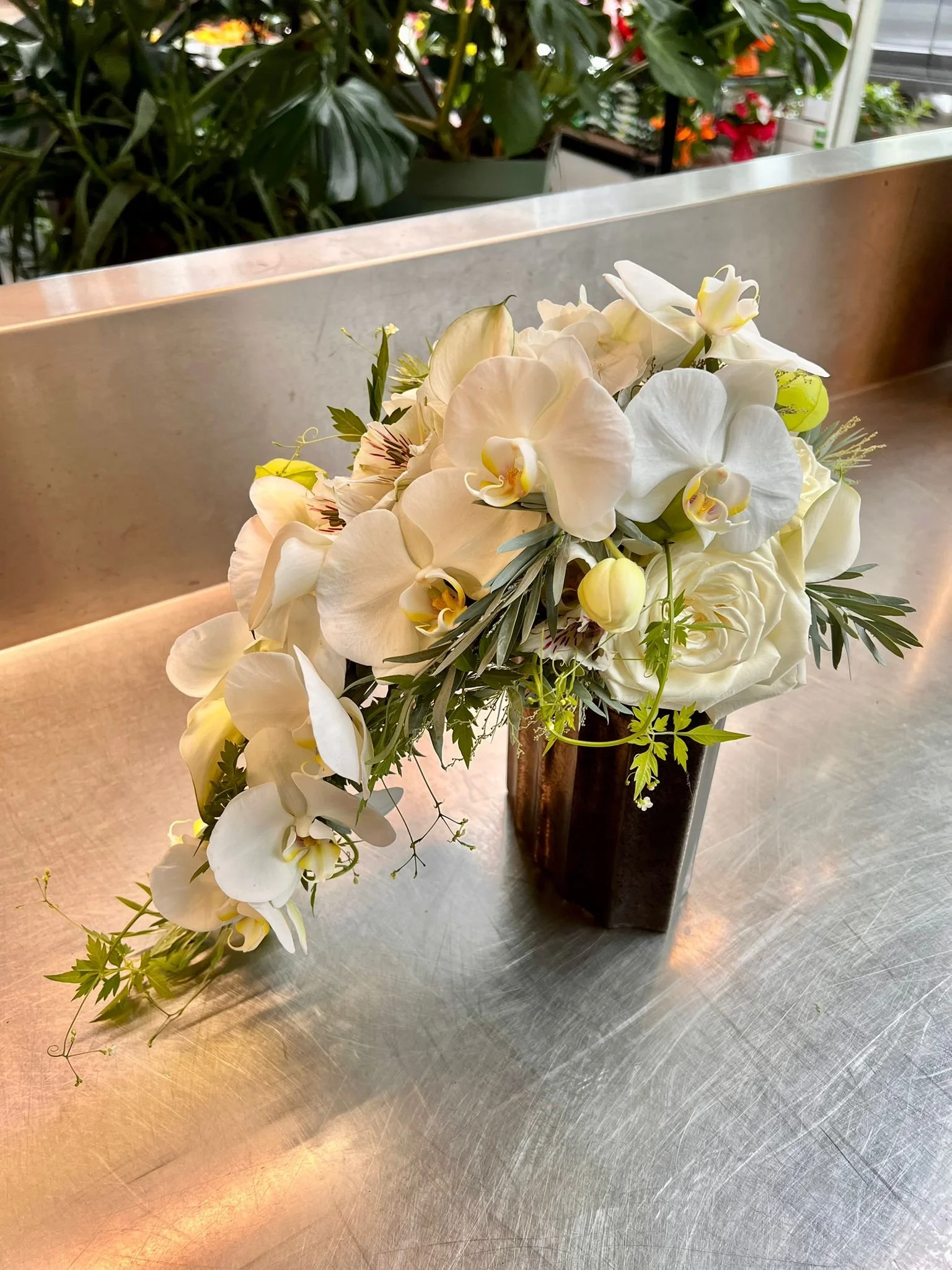 WhatsApp Image 2026-03-03 at 13.07.49 (4).jpeg