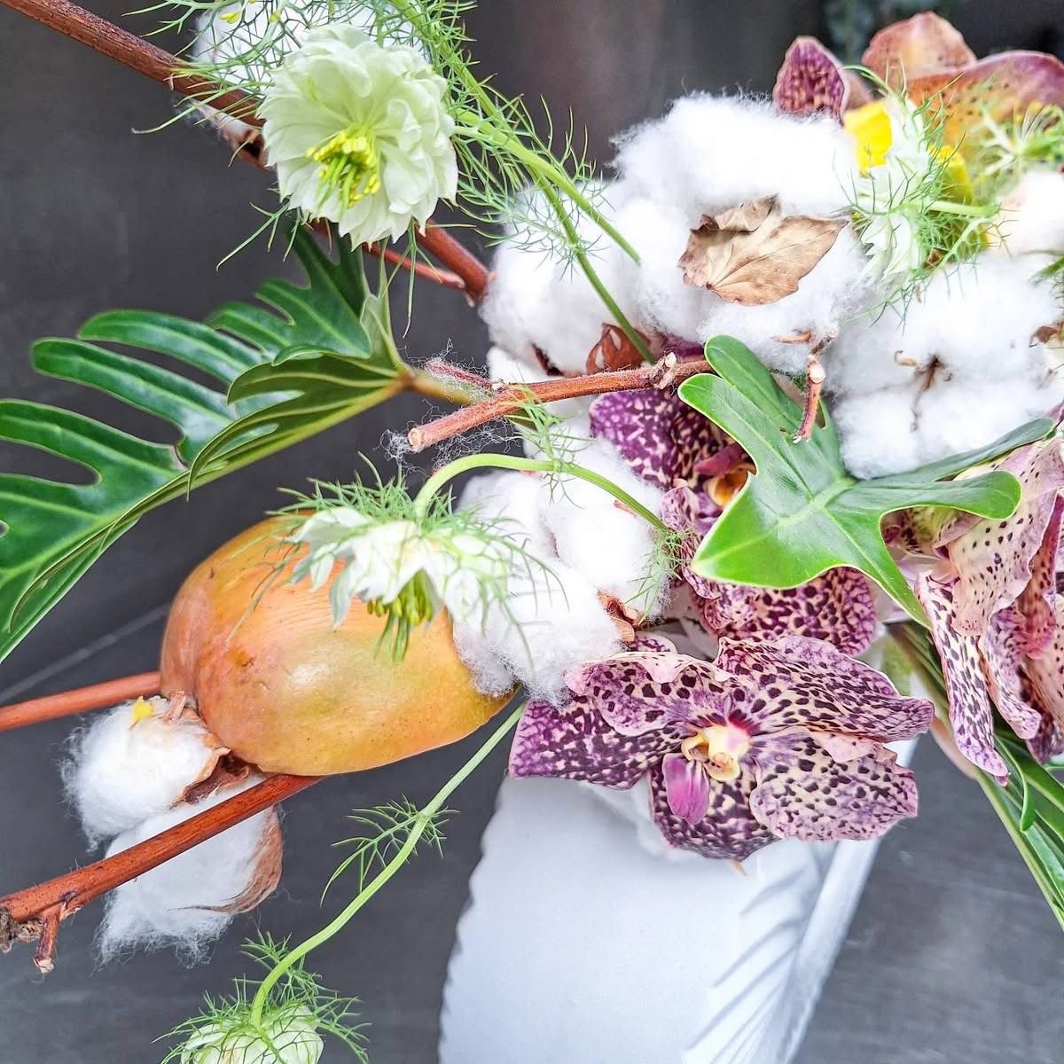 WhatsApp Image 2026-03-03 at 13.05.46.jpeg