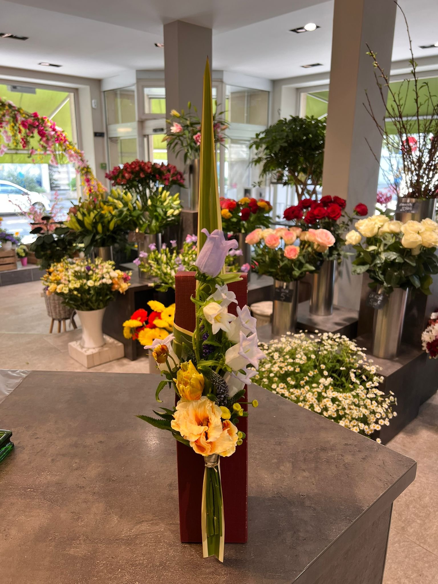 WhatsApp Image 2026-03-03 at 13.08.55 (3).jpeg