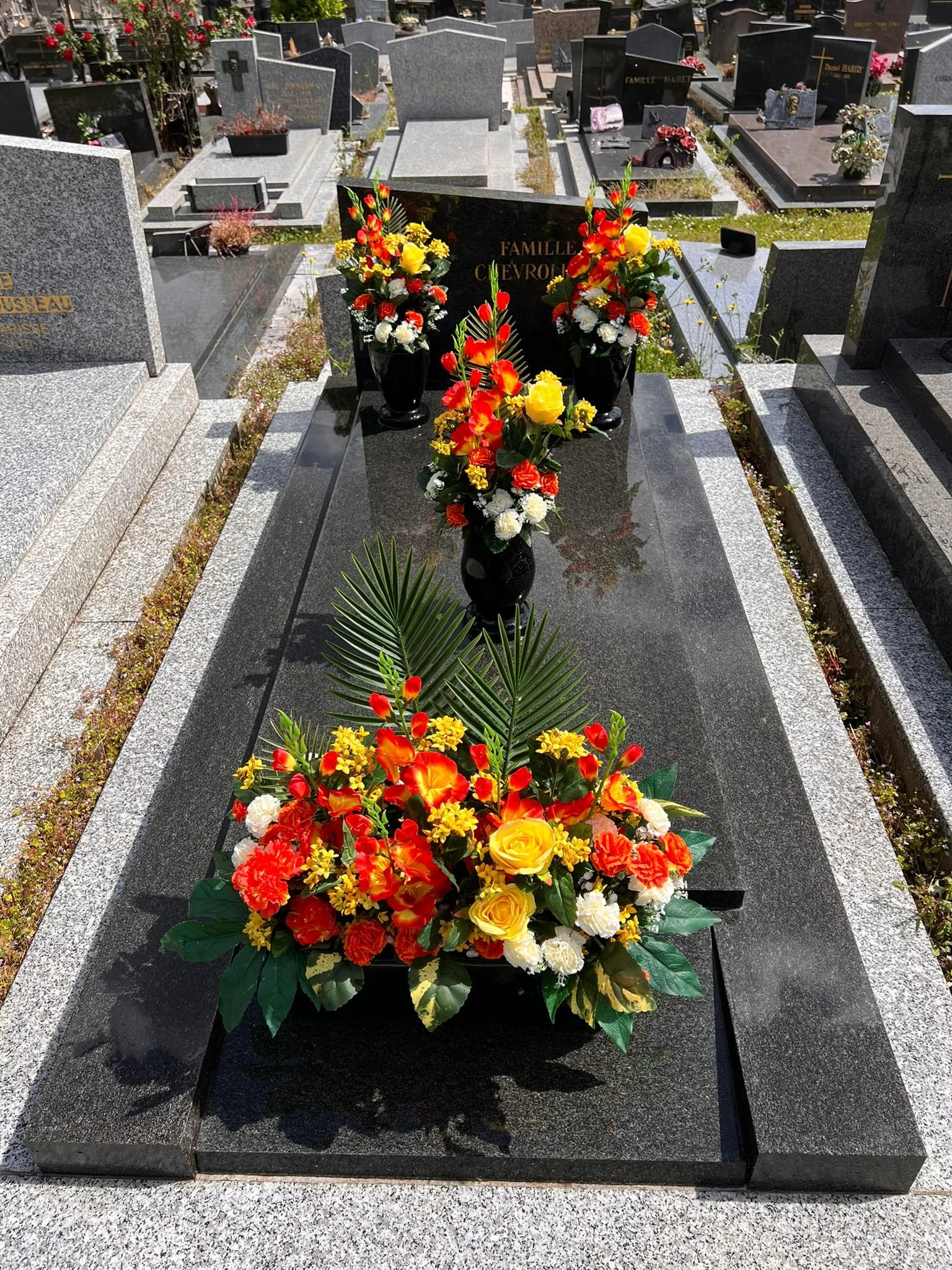 WhatsApp Image 2026-03-03 at 13.08.55 (1).jpeg