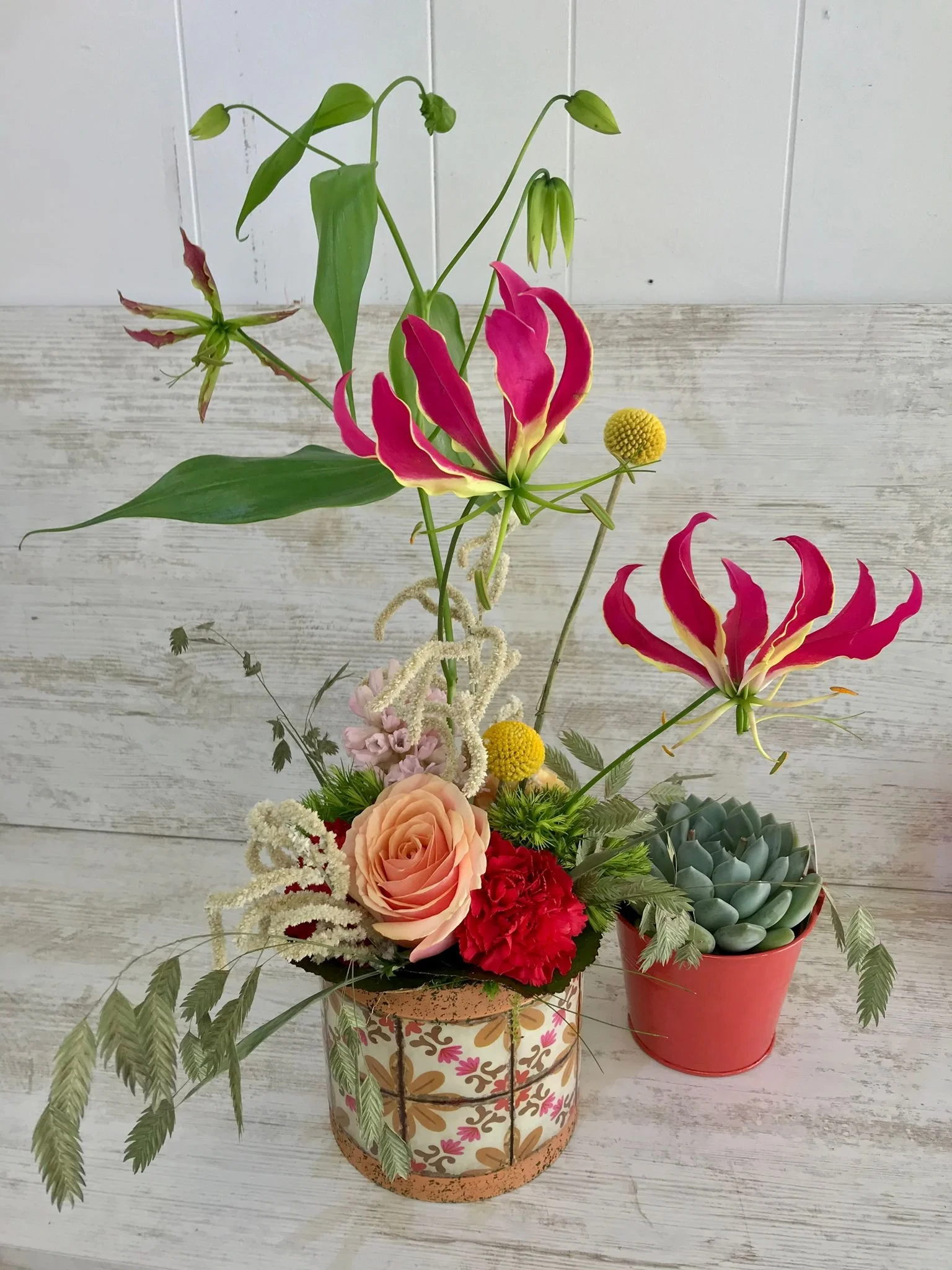 WhatsApp Image 2026-03-03 at 13.10.50 (3).jpeg