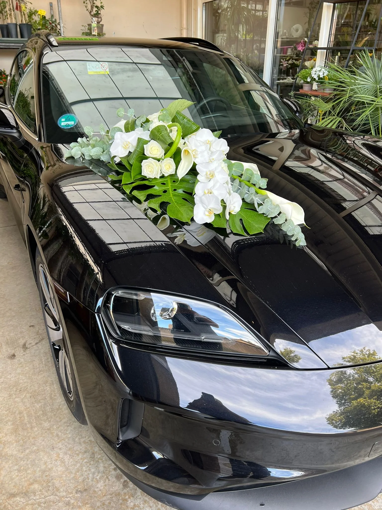 WhatsApp Image 2026-03-03 at 13.09.09.jpeg