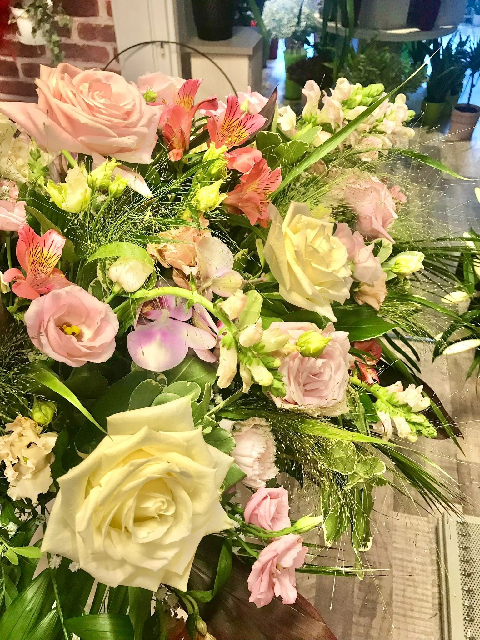 WhatsApp Image 2026-03-03 at 13.10.10 (2).jpeg