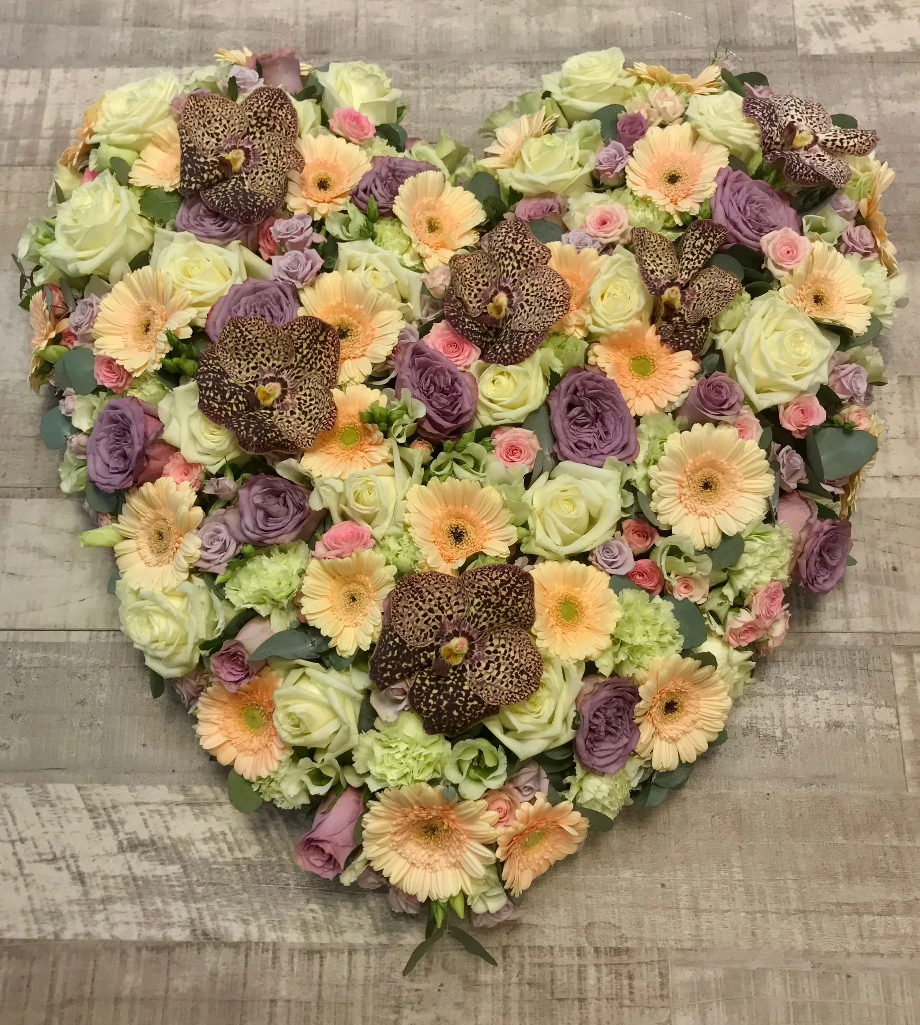 WhatsApp Image 2026-03-03 at 13.10.49 (3).jpeg