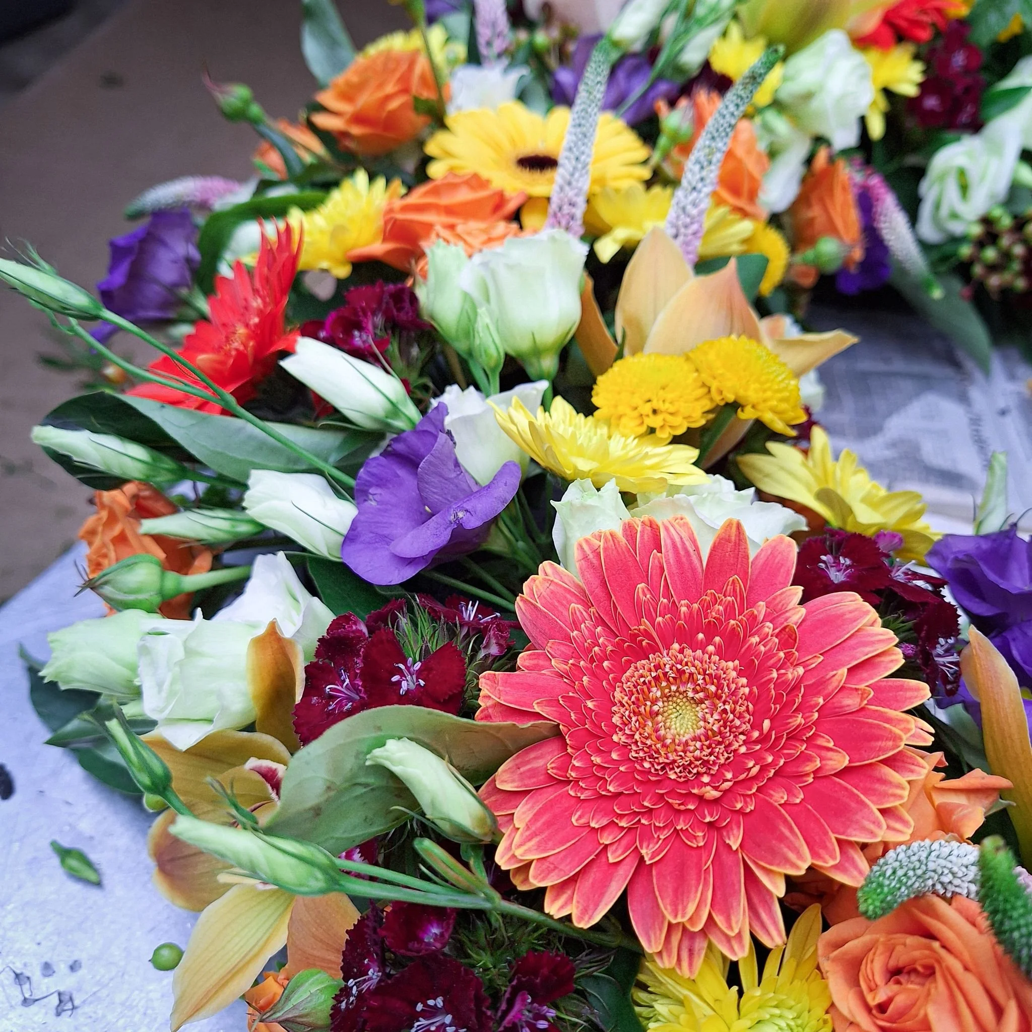 WhatsApp Image 2026-03-03 at 13.05.44 (1).jpeg