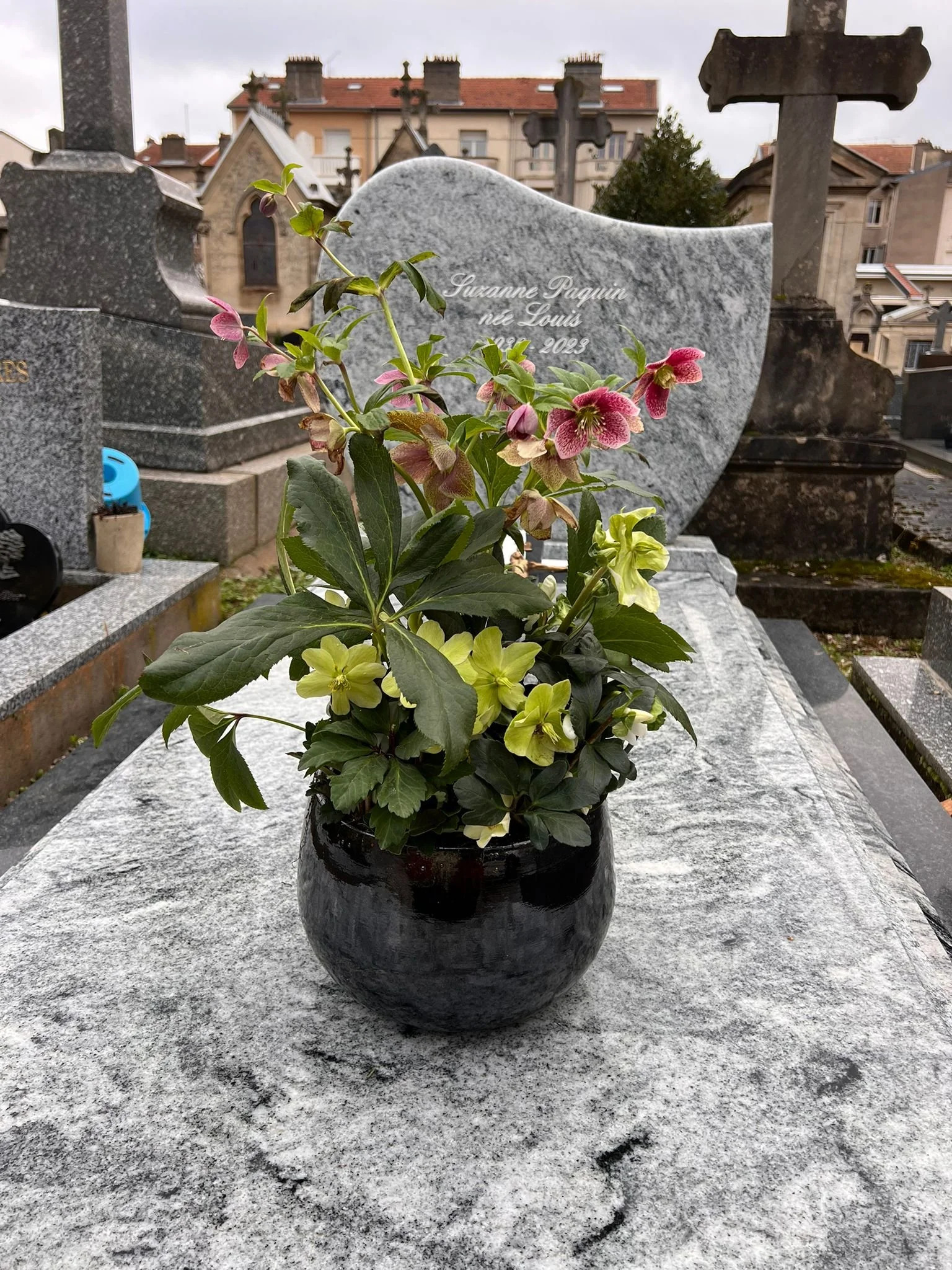 WhatsApp Image 2026-03-03 at 13.06.37.jpeg