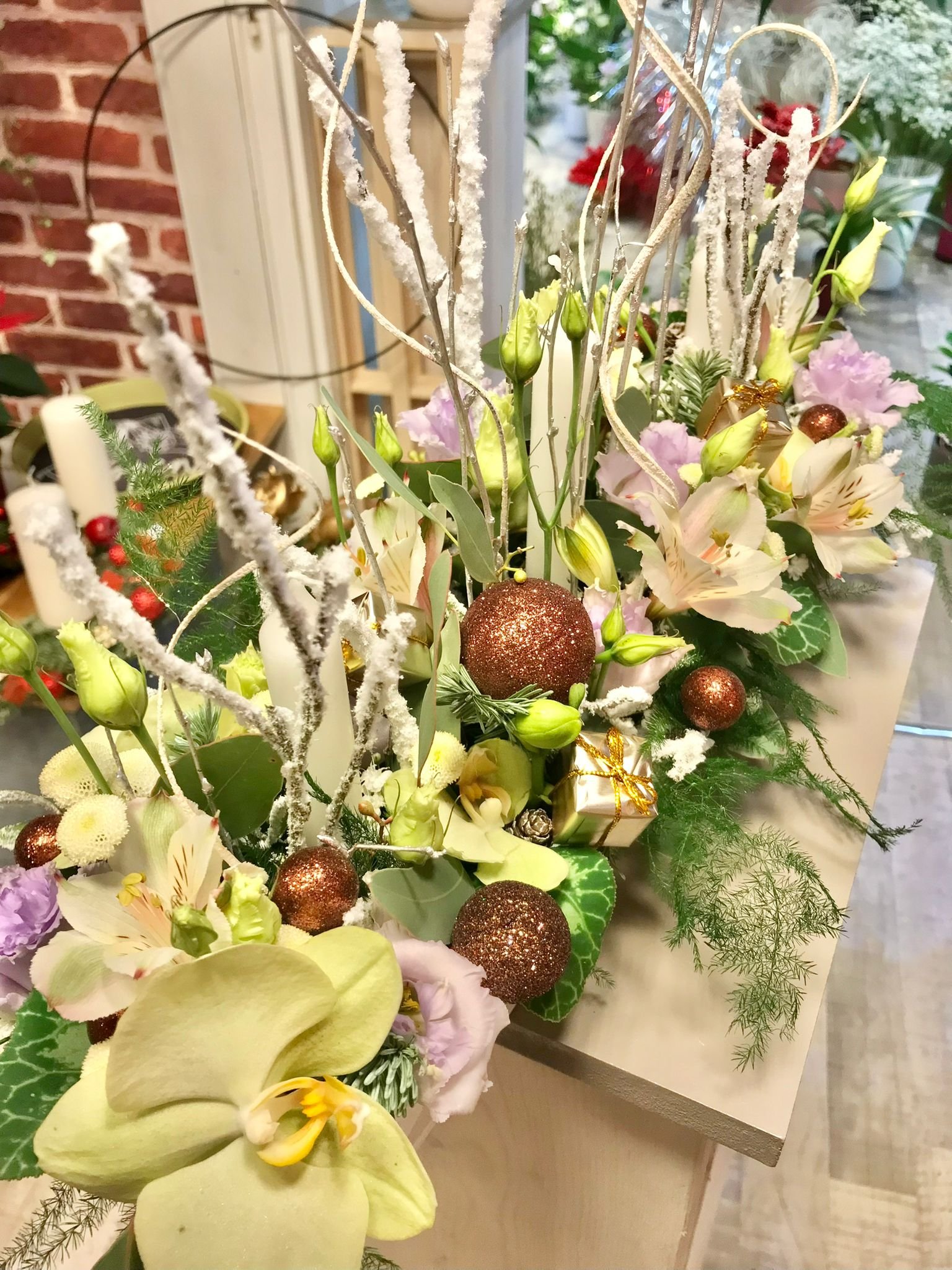 WhatsApp Image 2026-03-03 at 13.10.10 (5).jpeg