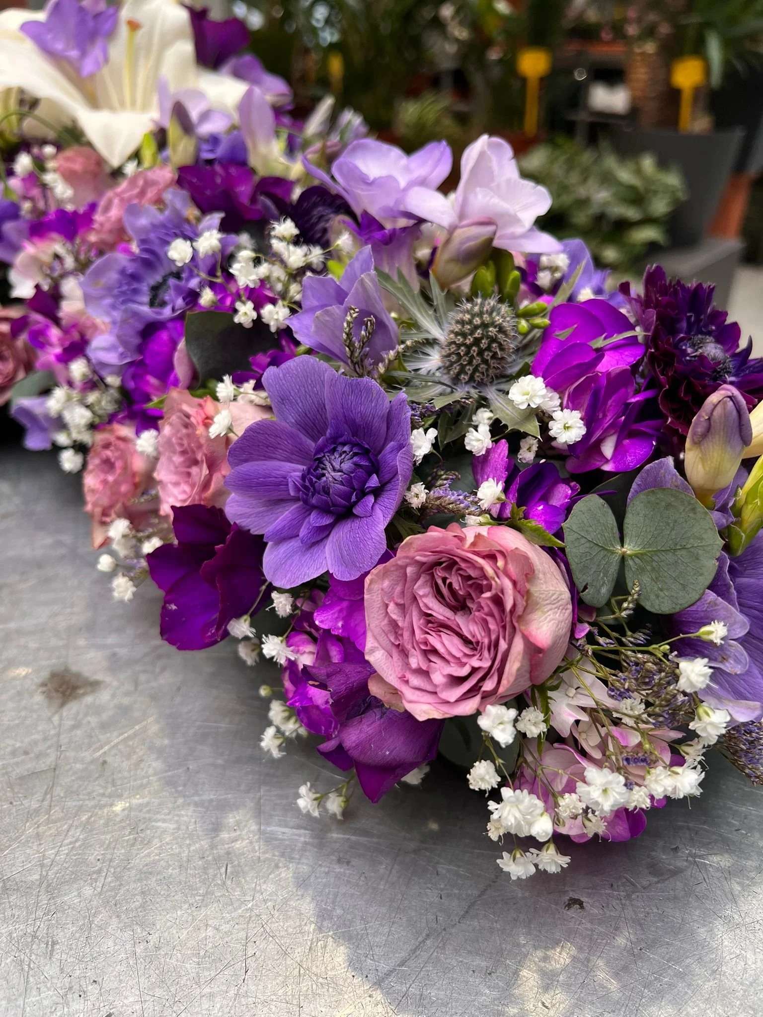 WhatsApp Image 2026-03-03 at 13.06.35 (1).jpeg