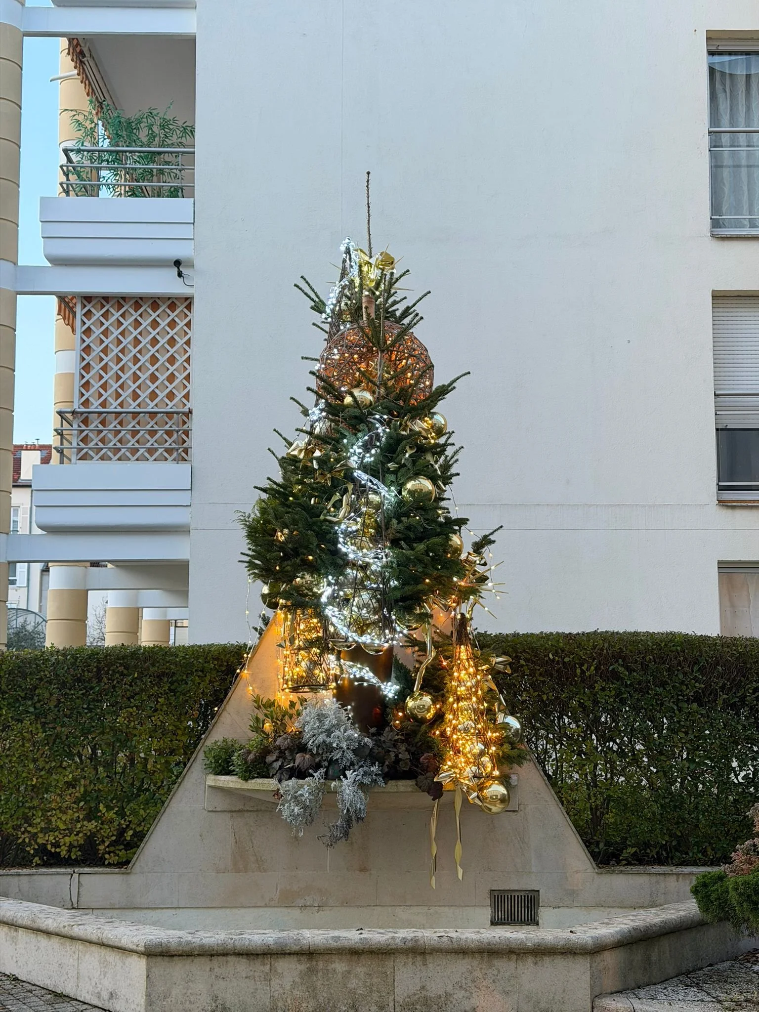 WhatsApp Image 2026-03-03 at 13.06.41.jpeg