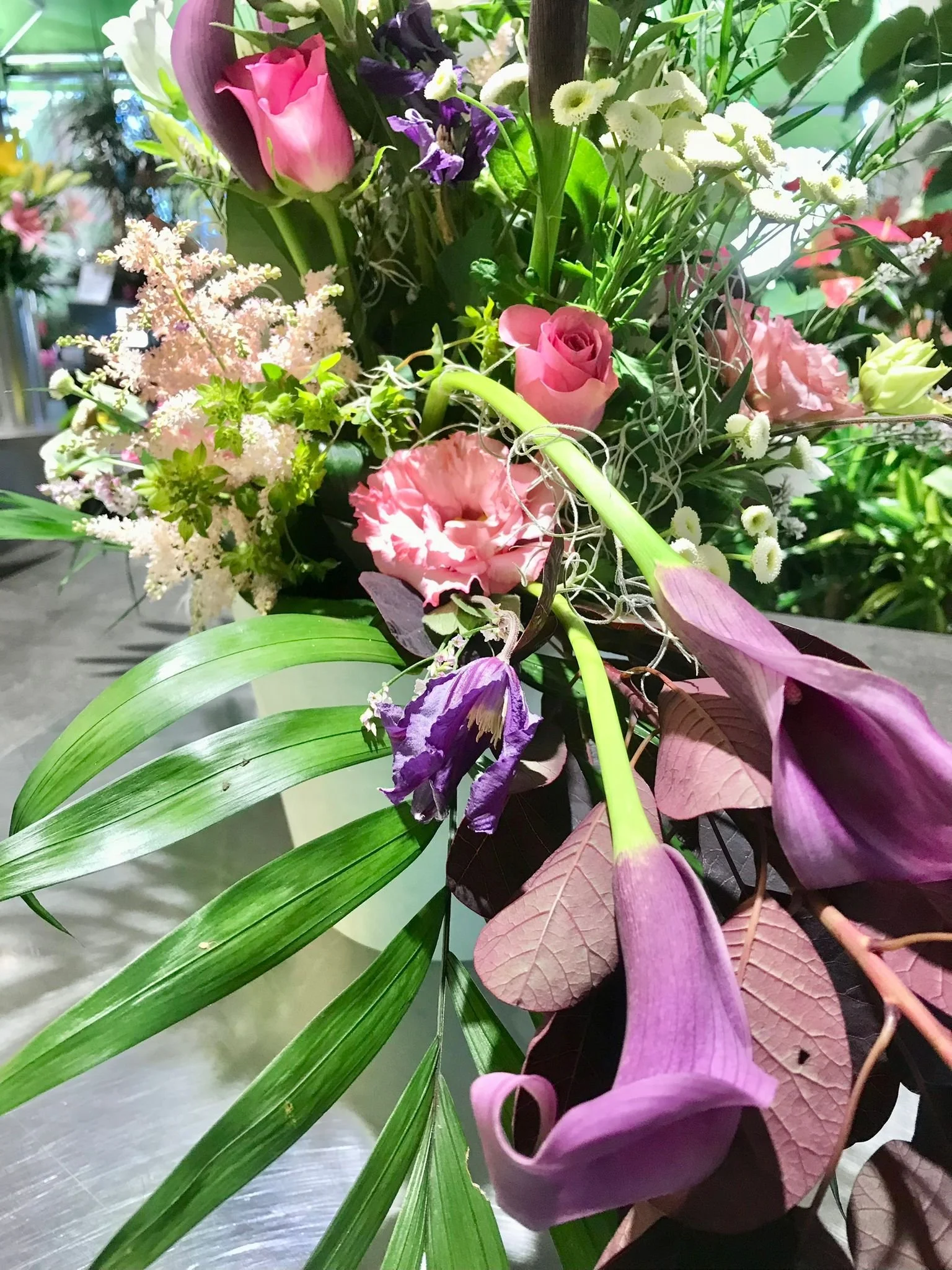 WhatsApp Image 2026-03-03 at 13.10.09.jpeg