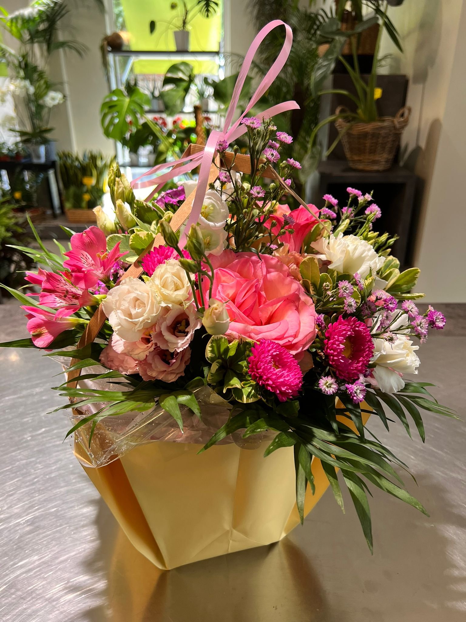 WhatsApp Image 2026-03-03 at 13.07.54.jpeg