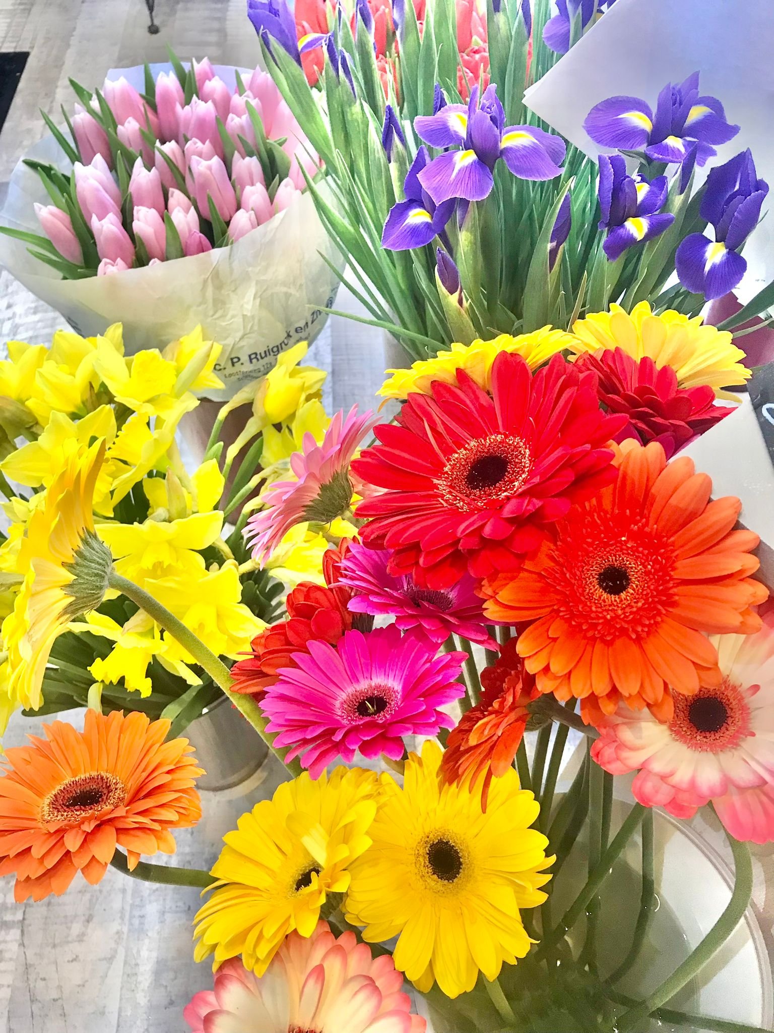 WhatsApp Image 2026-03-03 at 13.10.10.jpeg