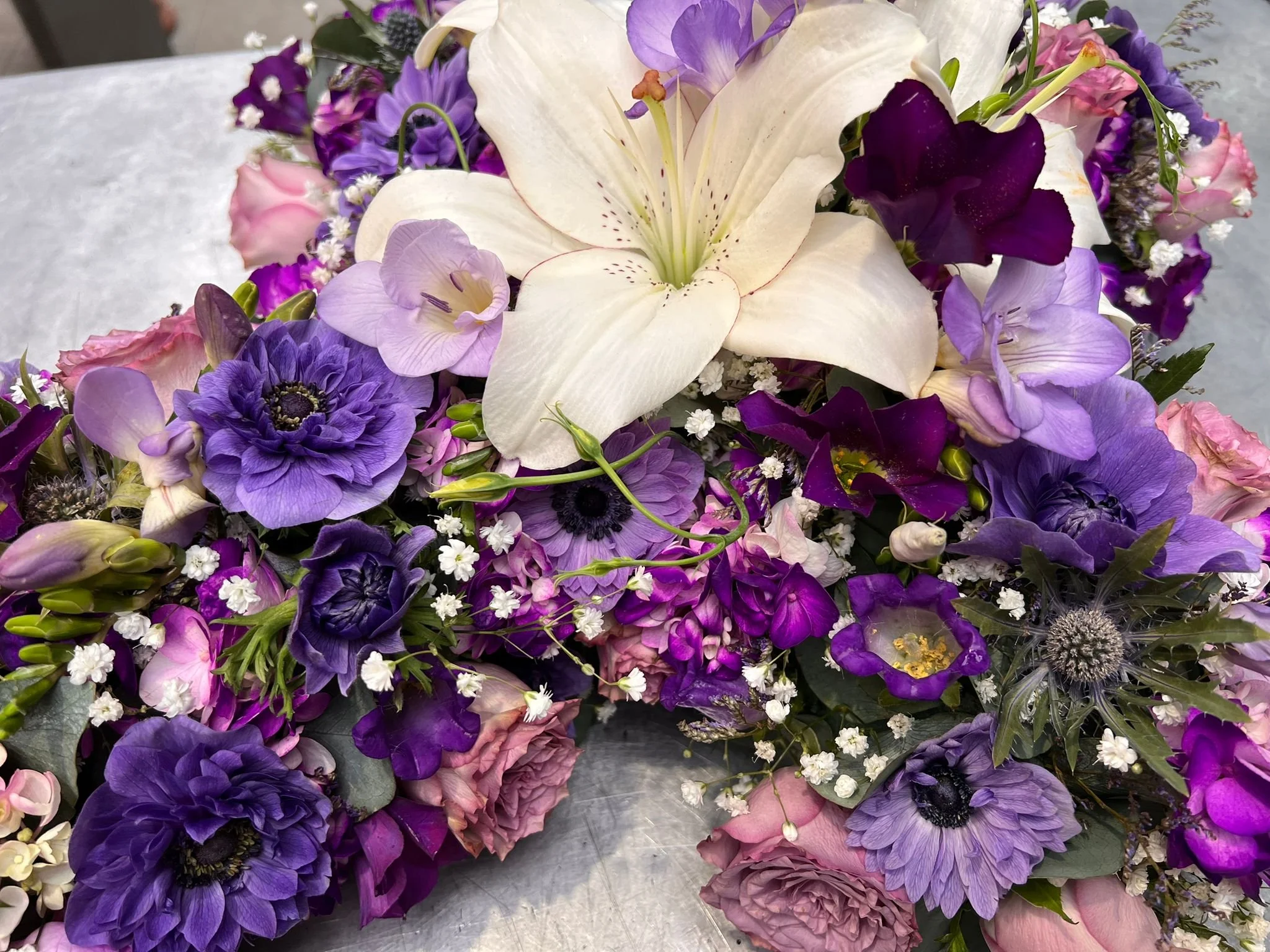 WhatsApp Image 2026-03-03 at 13.06.34 (2).jpeg