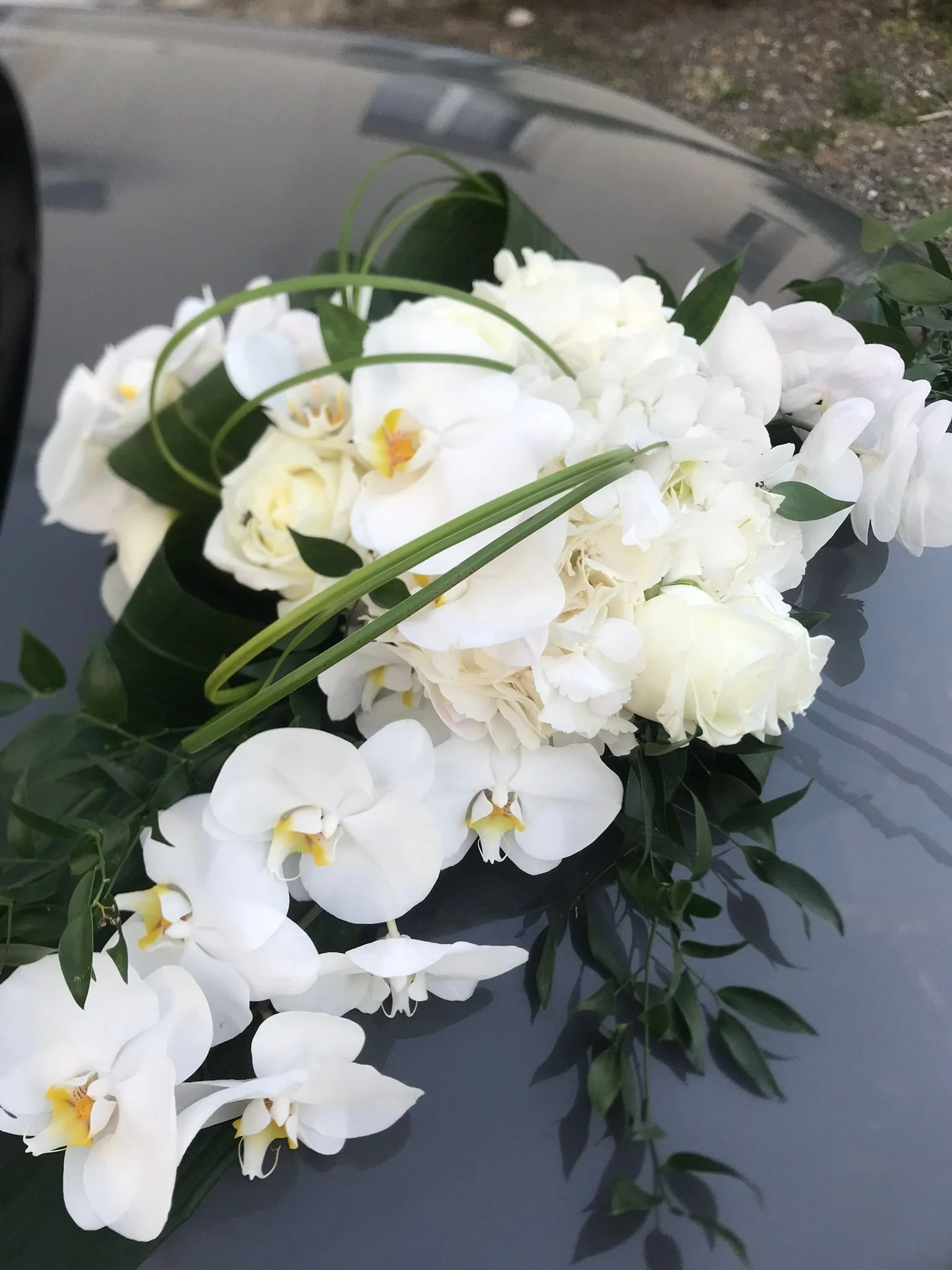 WhatsApp Image 2026-03-03 at 13.10.07 (4).jpeg